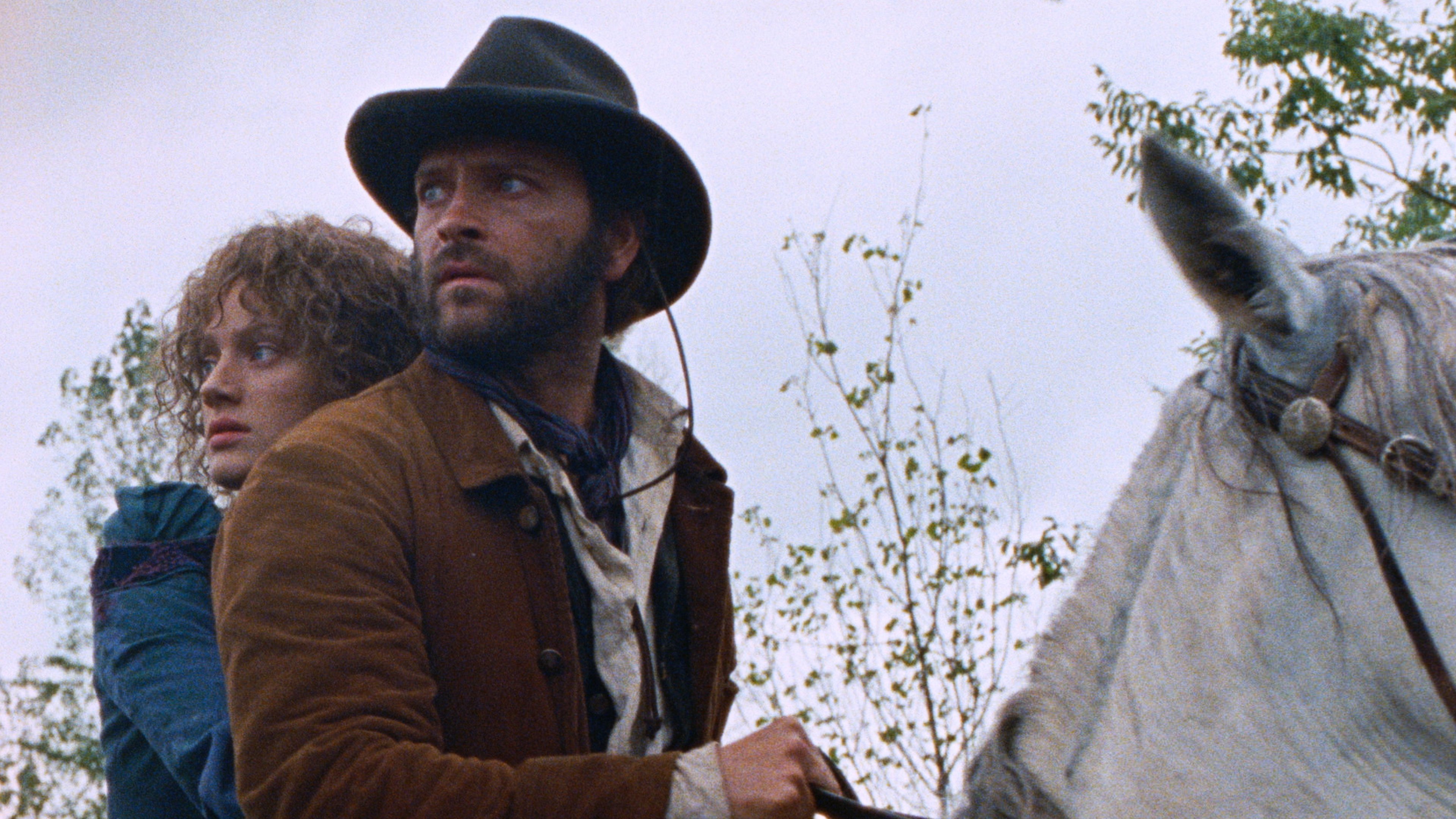 Heads or Tails? Background