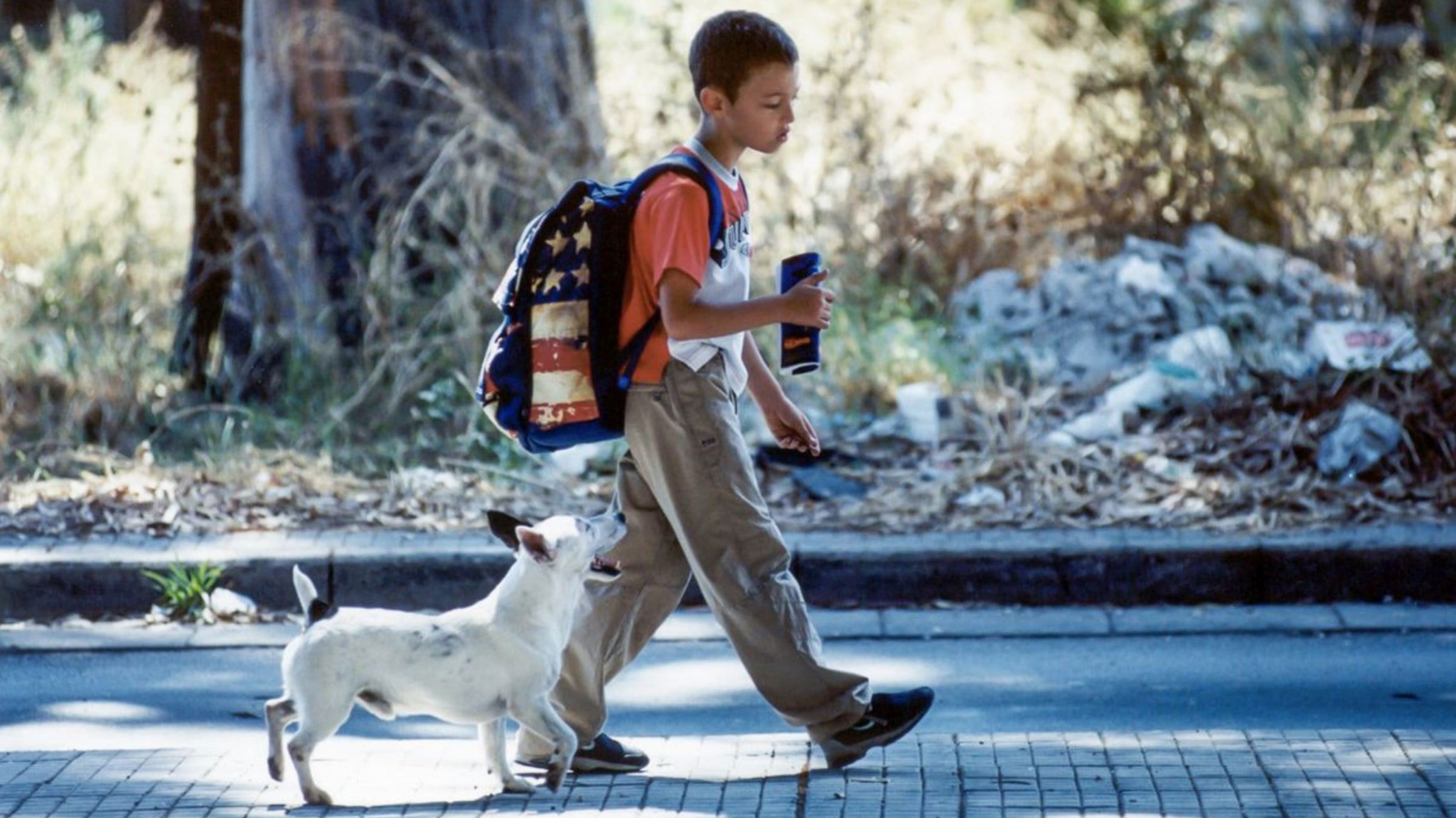 Mario's War Background