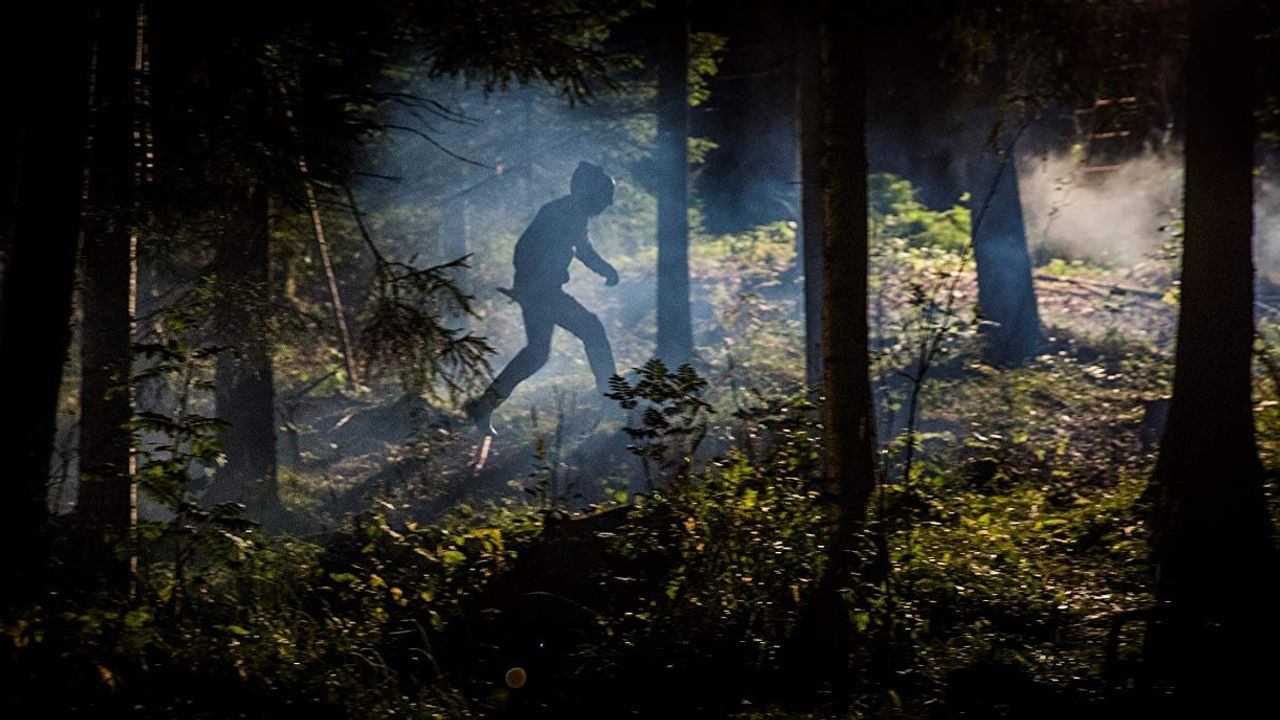 The Cabin Background