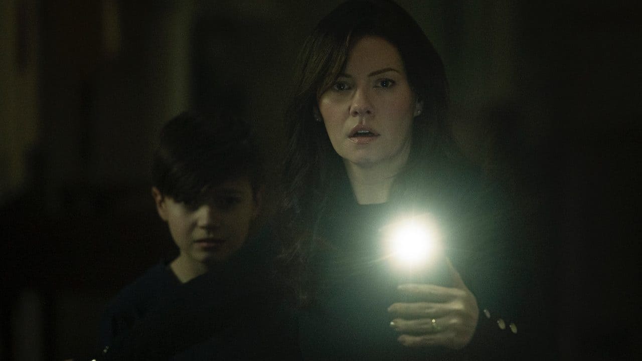 The Cellar Background