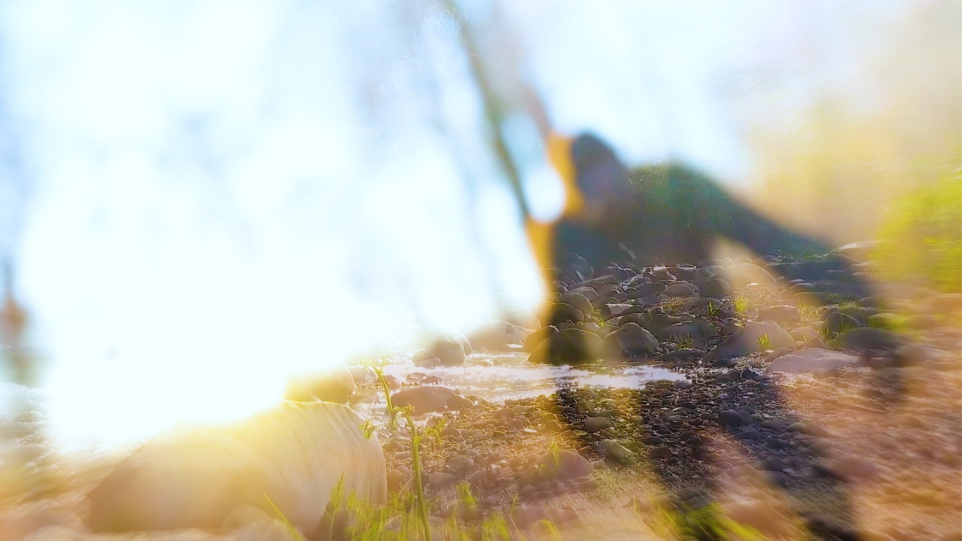 On The Trail of Bigfoot: The Last Frontier Background