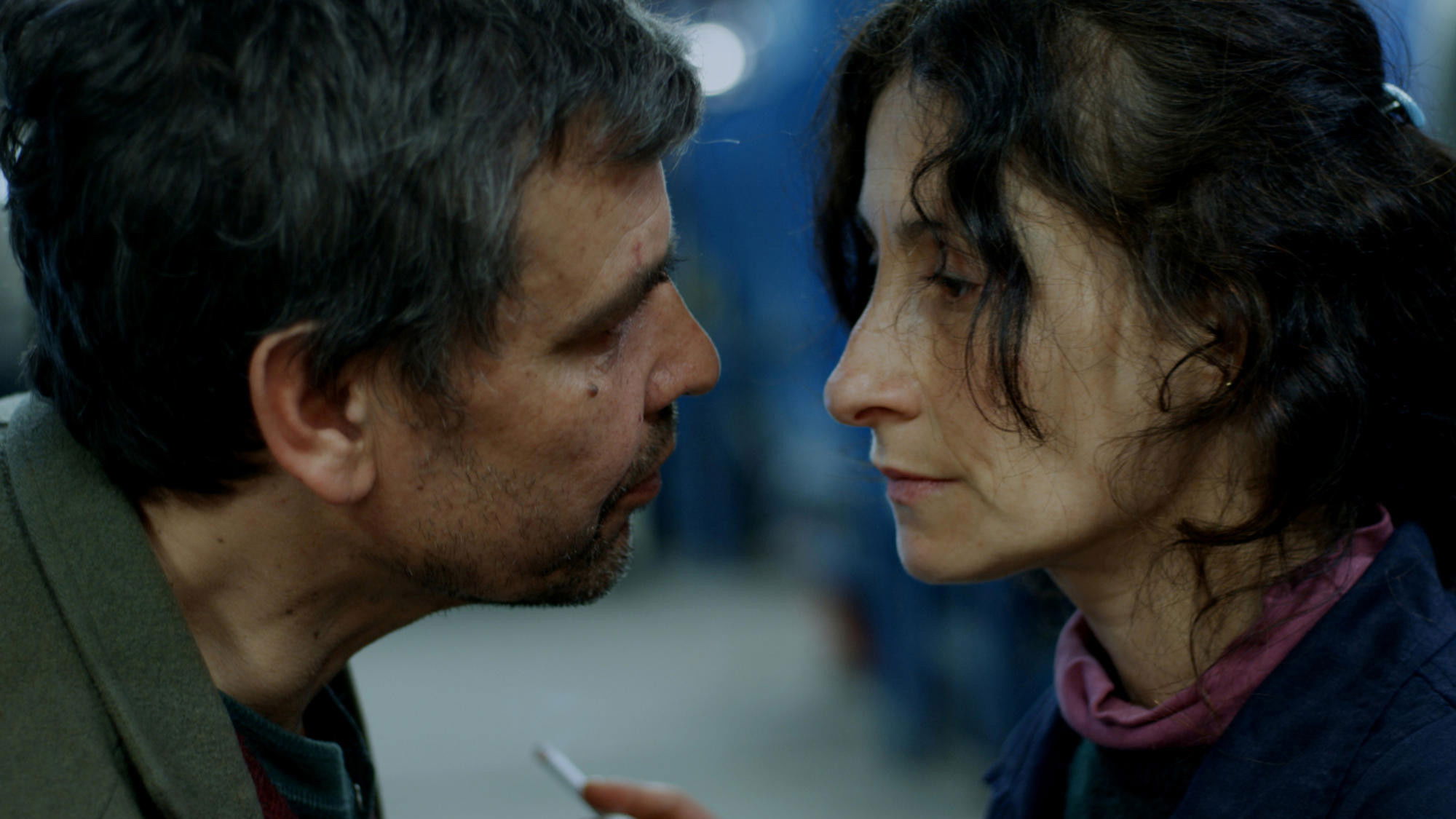 Carne de perro Background