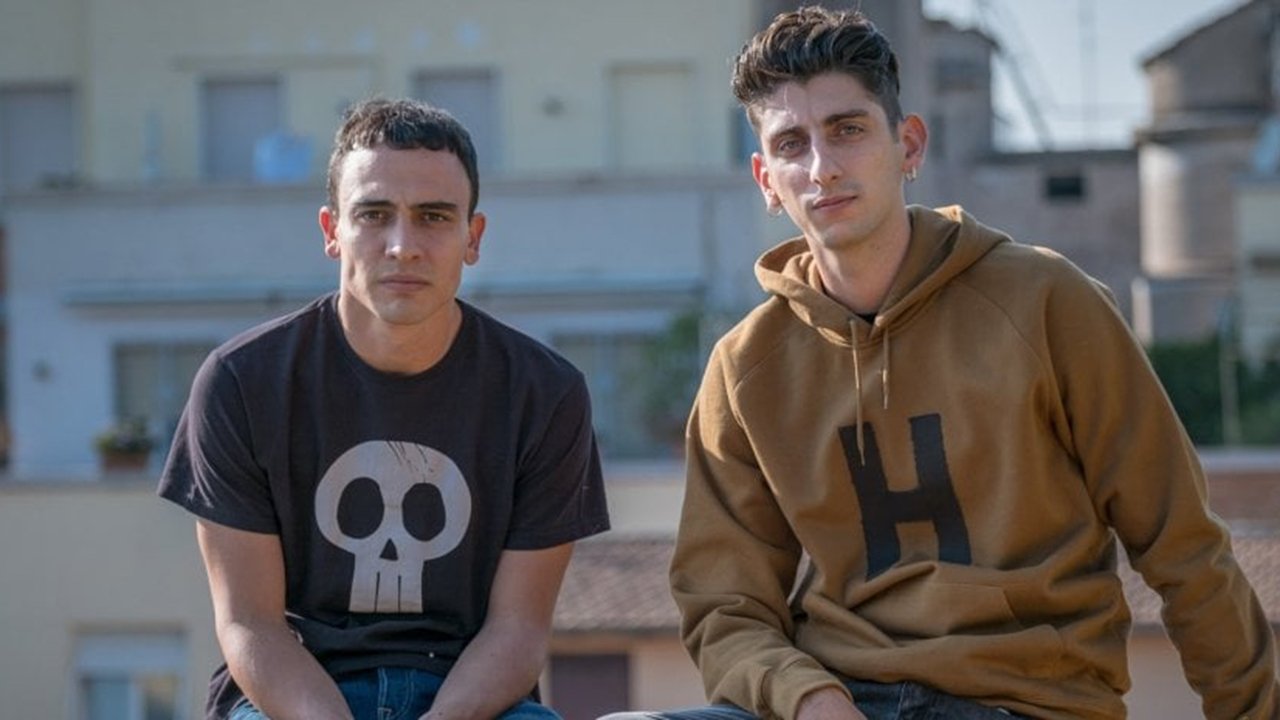 The Armadillo's Prophecy Background