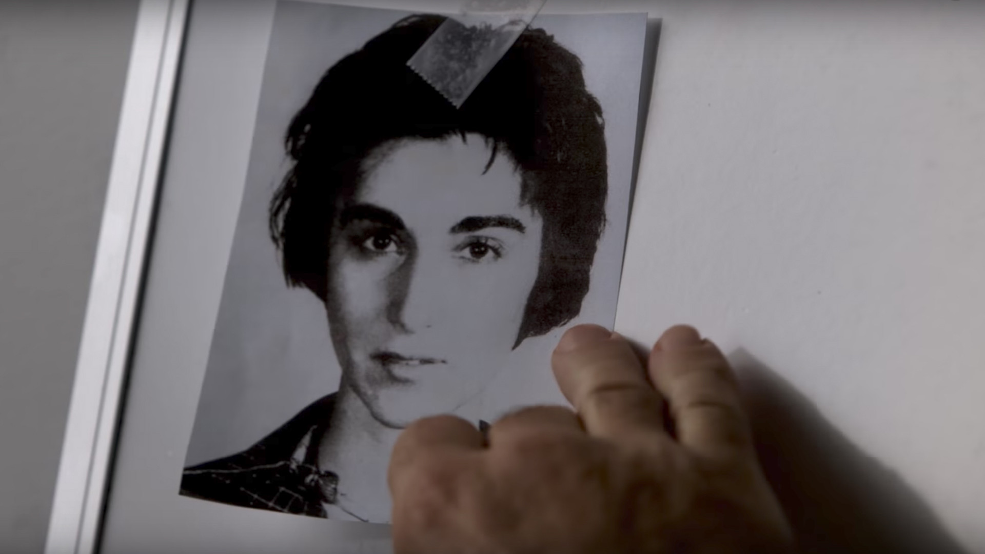 The Witness Background