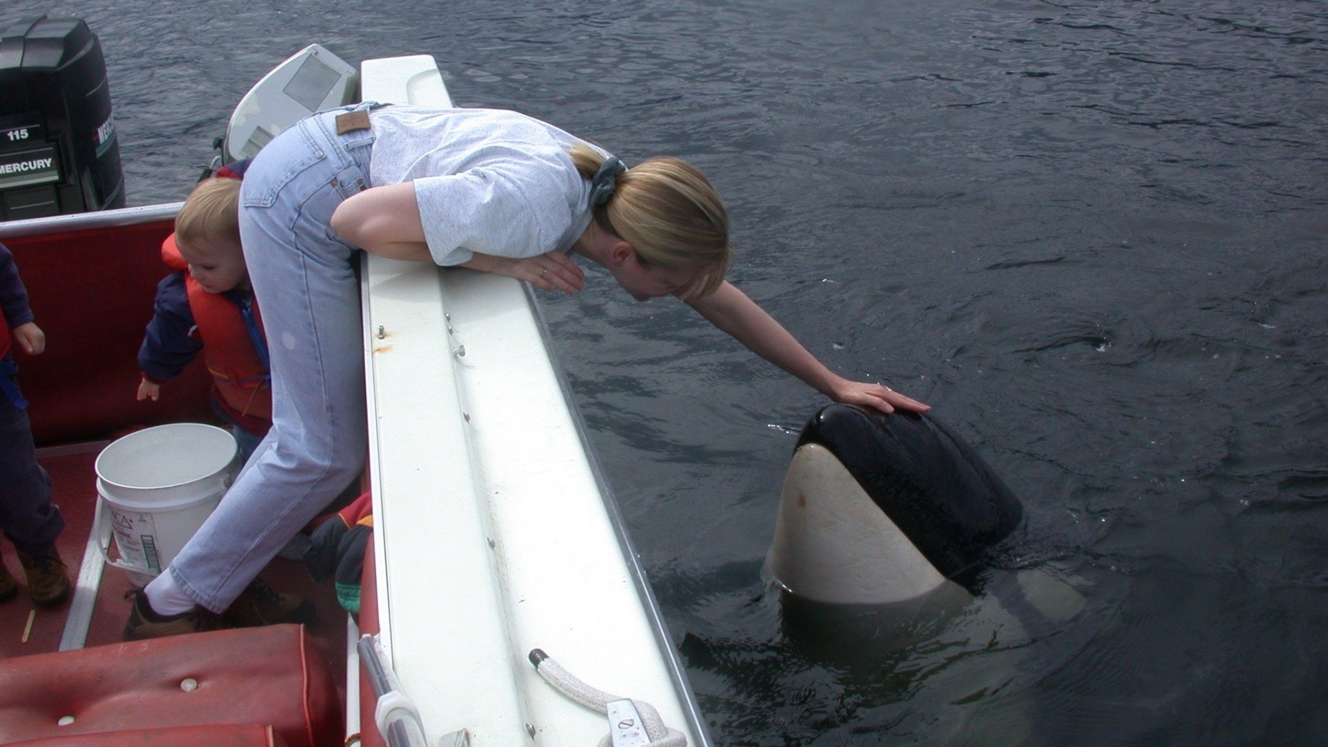 The Whale Background