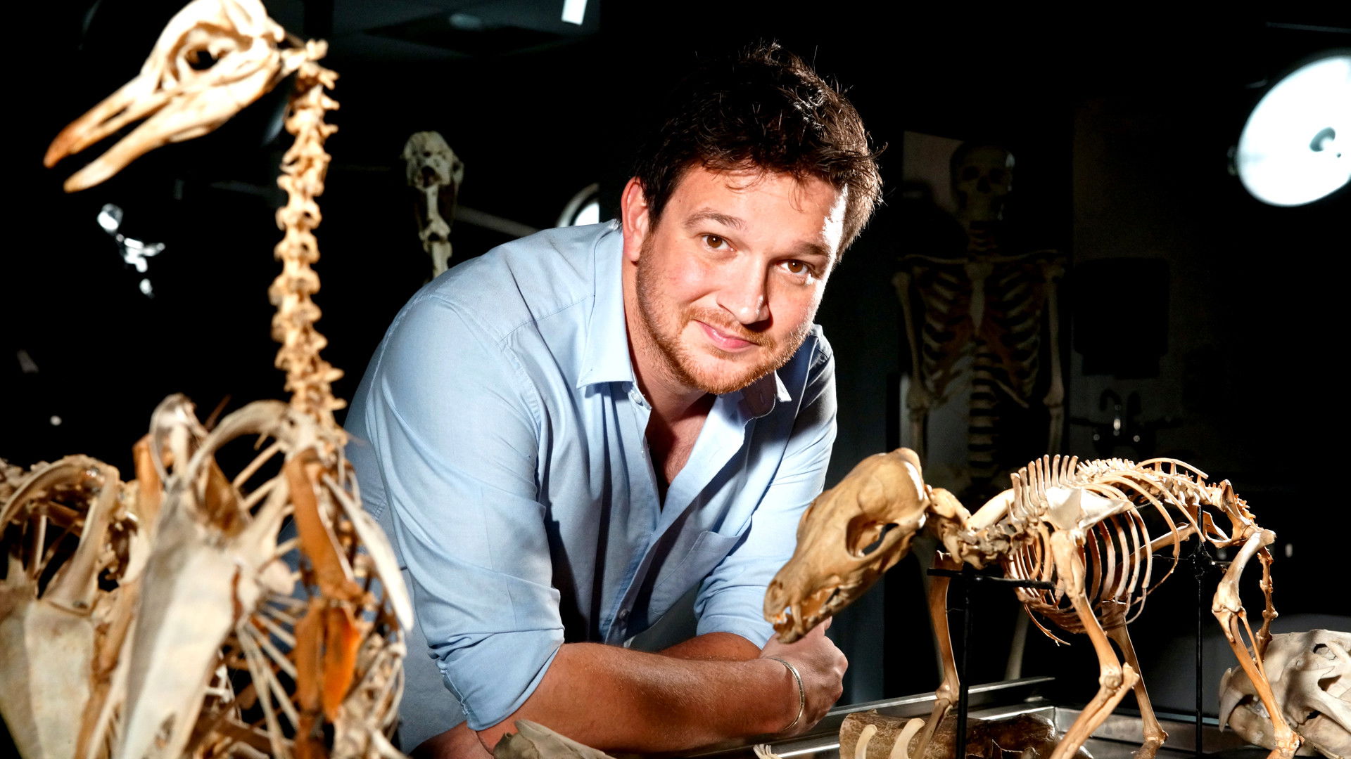 Secrets of Bones Background