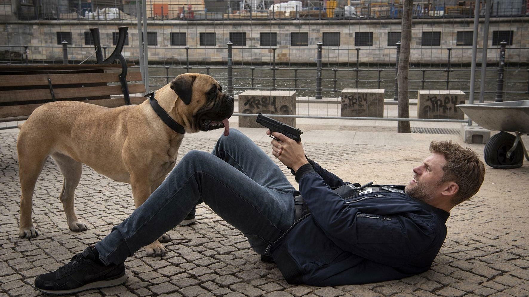 Der Bulle und das Biest Background