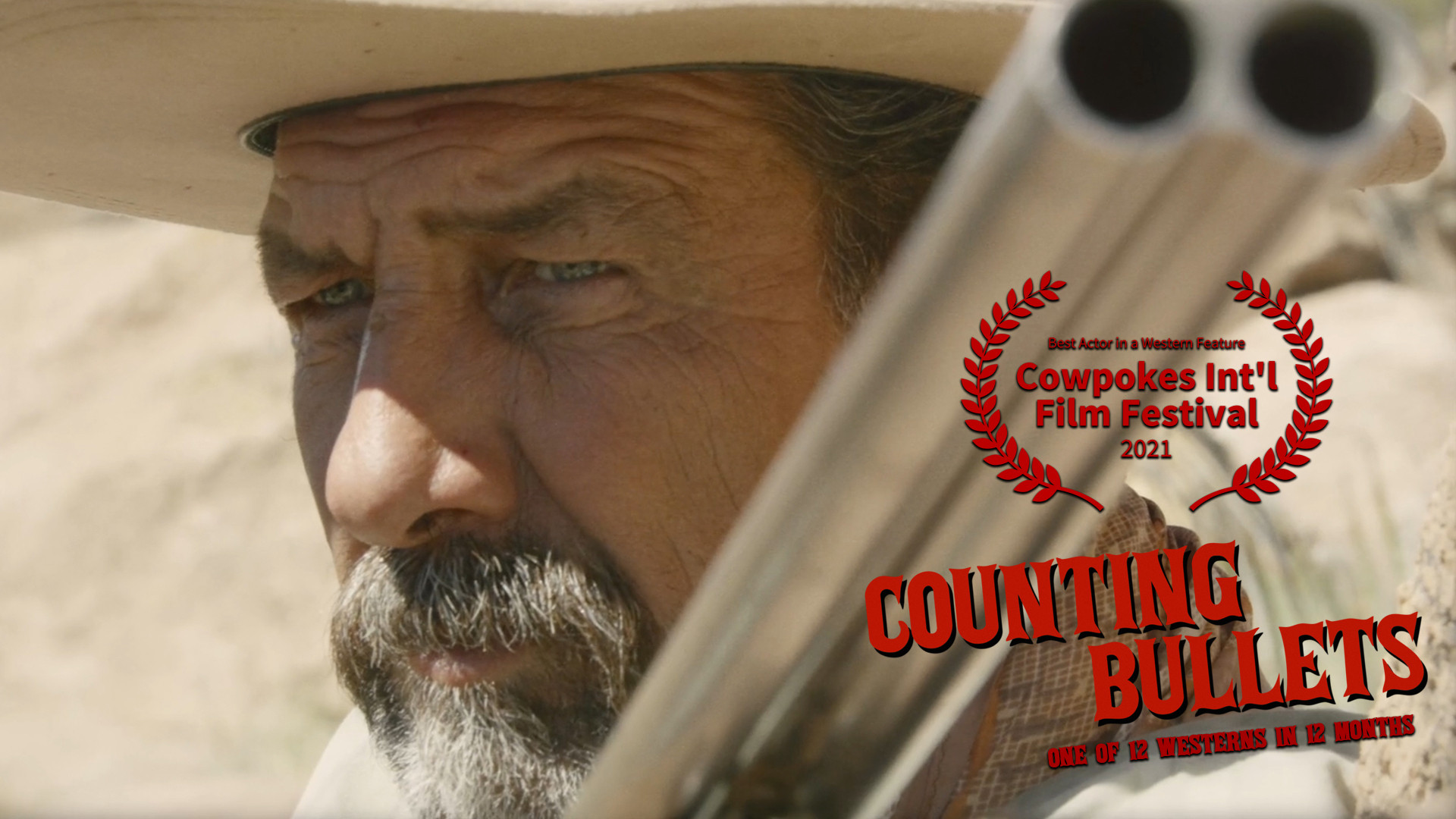 Counting Bullets Background