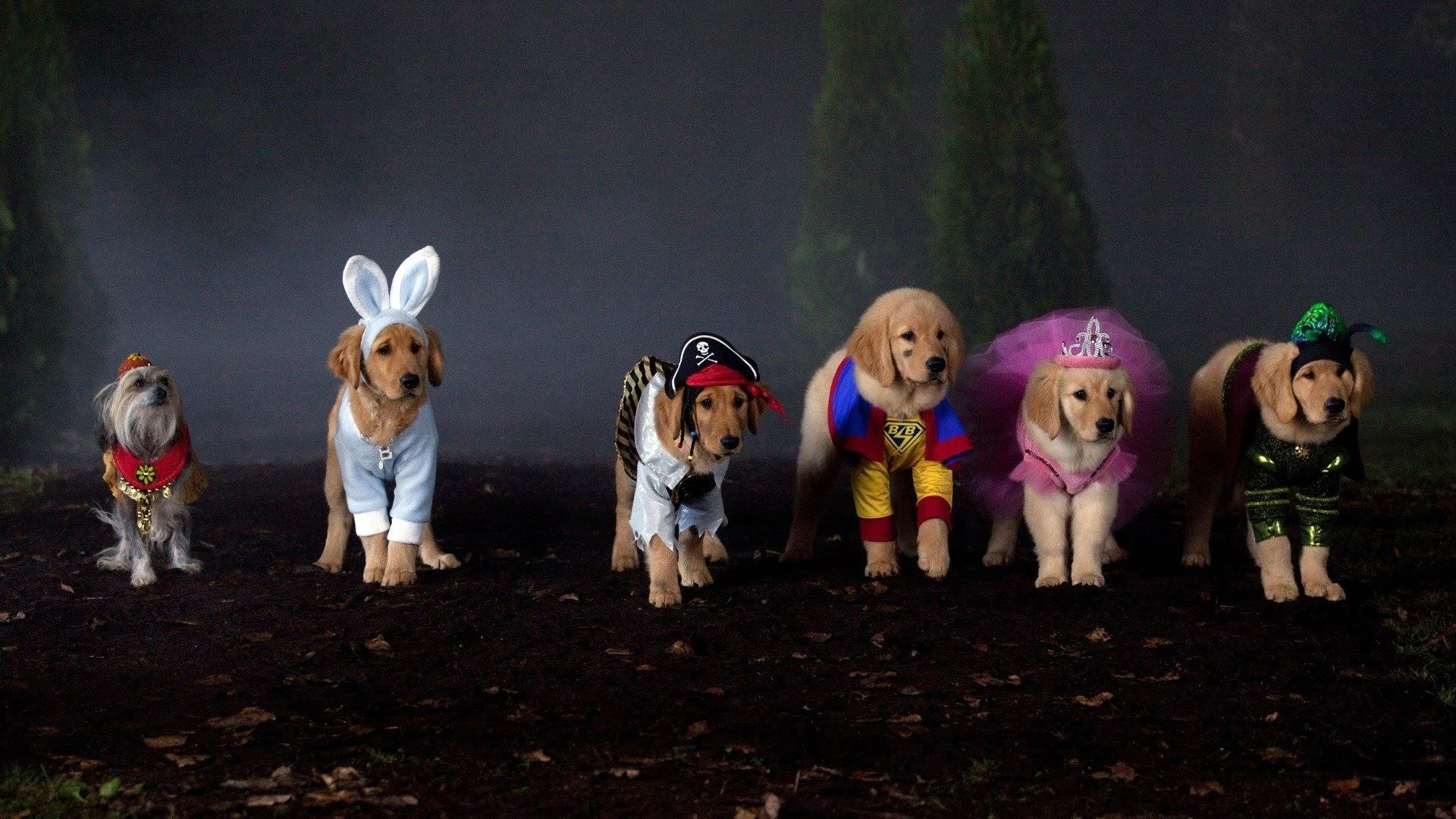 Spooky Buddies Background