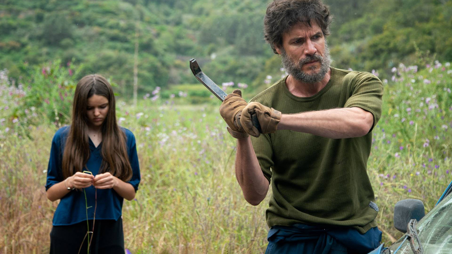 La casa entre los cactus Background