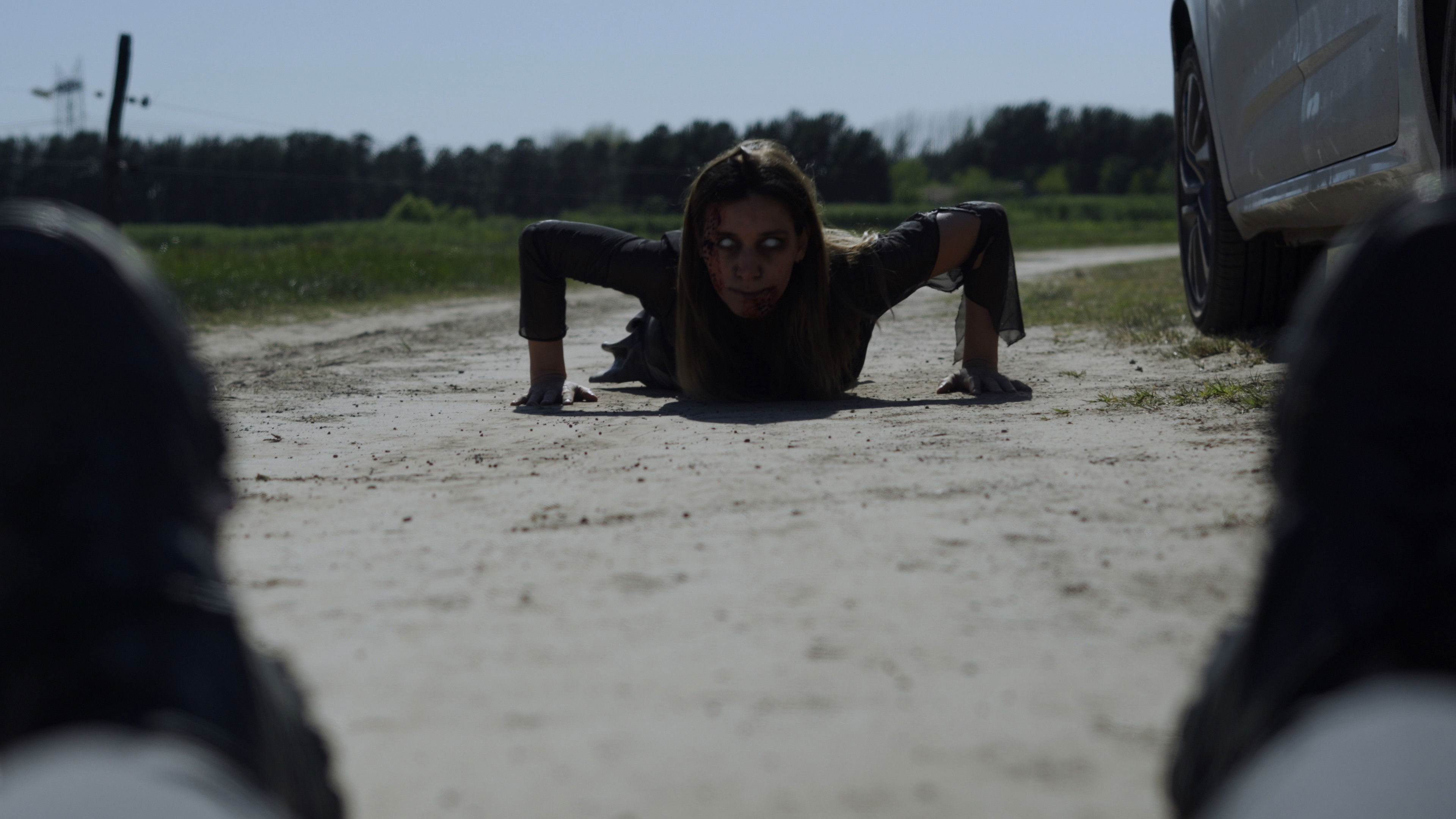 Lola contra los Zombies Background