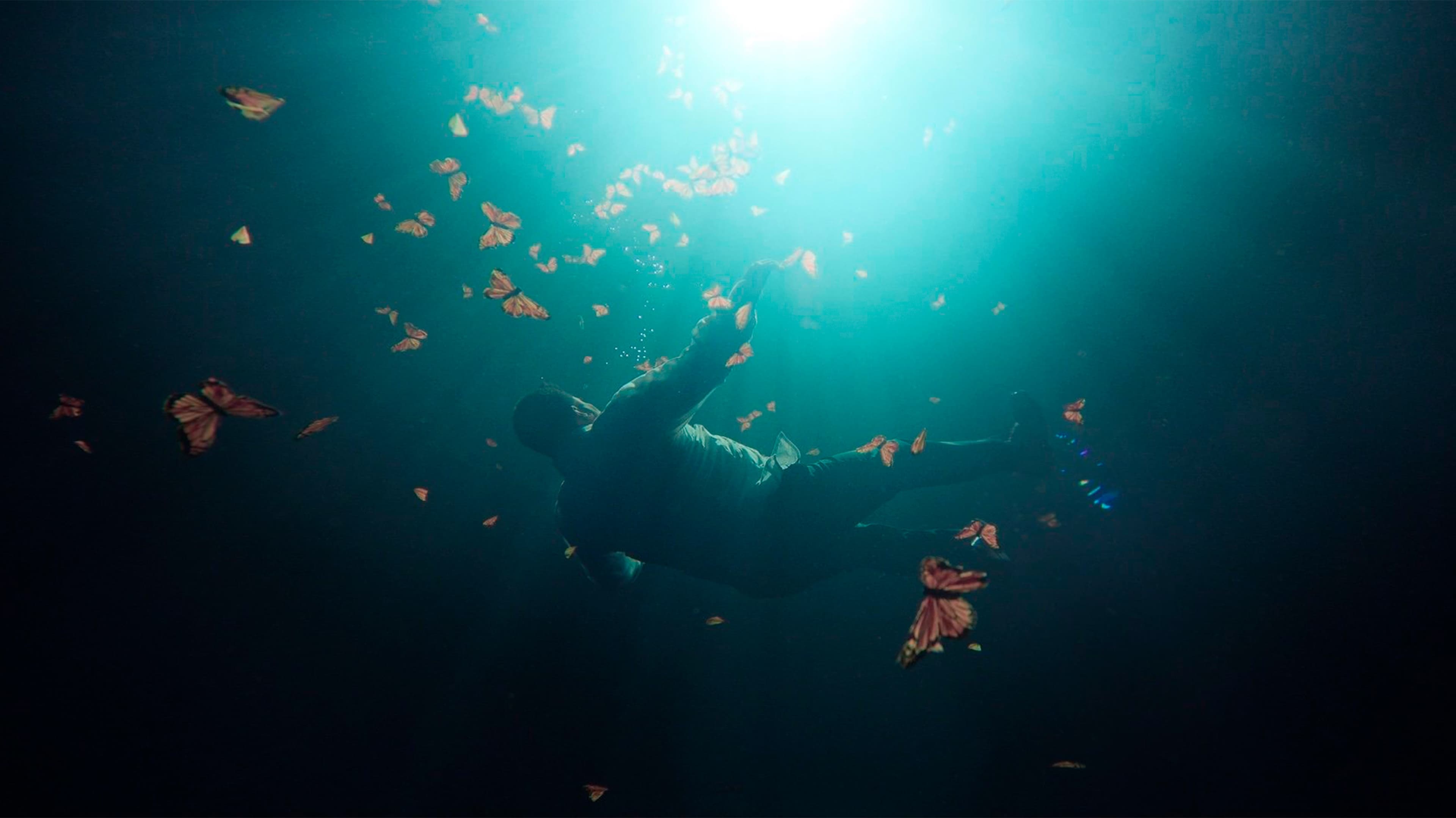 El Guardián de las Monarcas Background