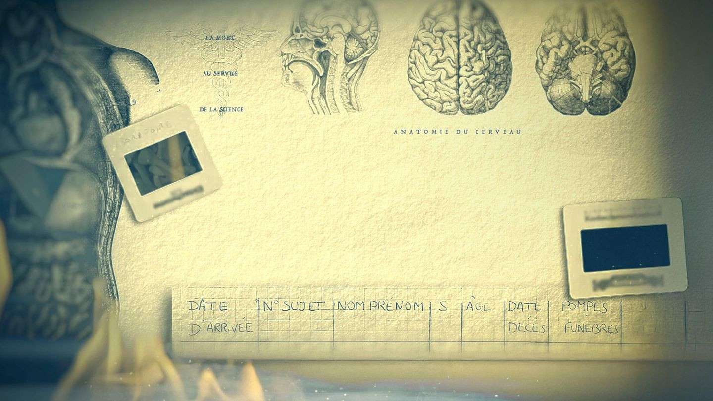 Paris Descartes - Anatomie d'un scandale Background