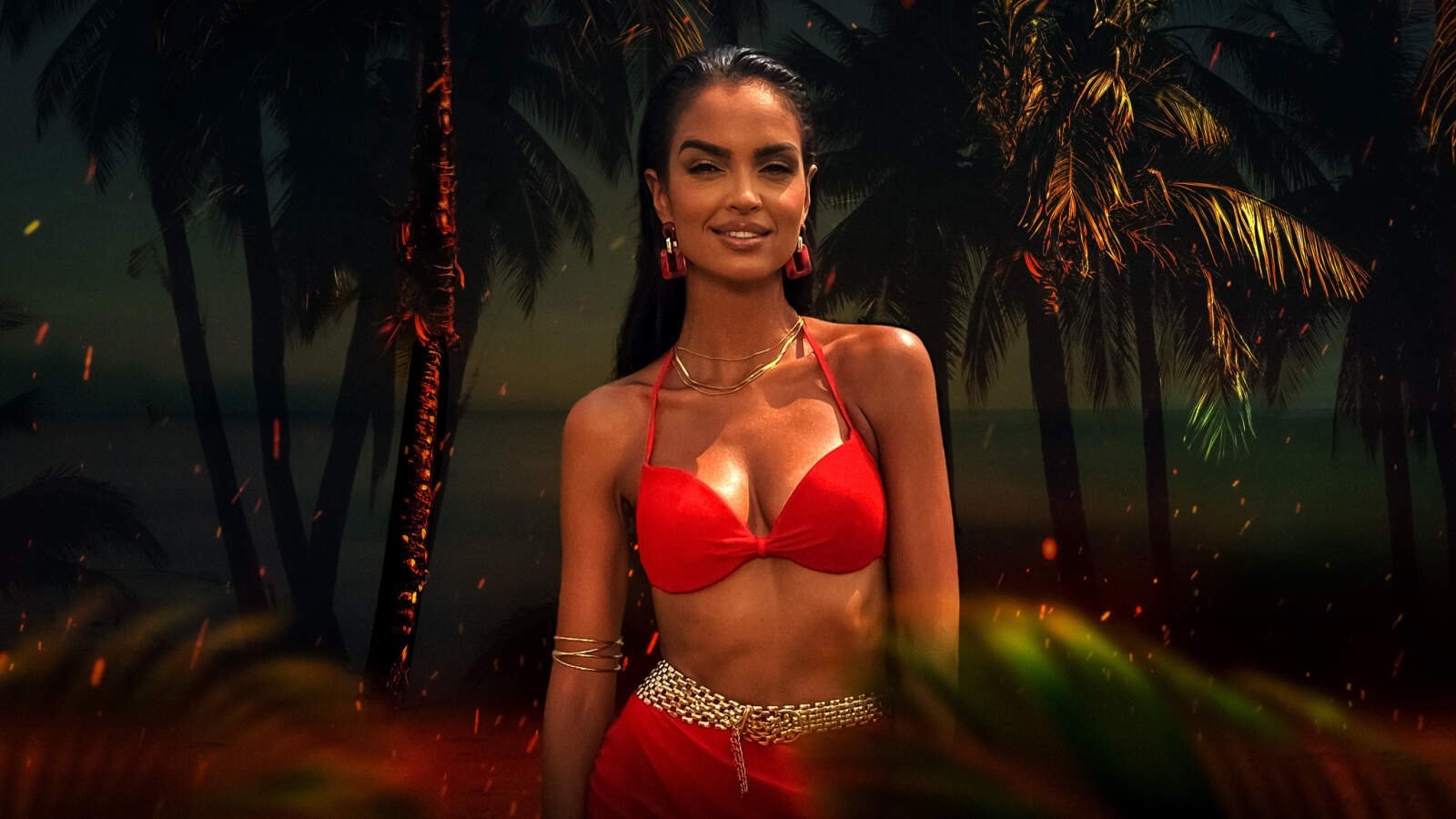 Hotel Paradise Extra Background