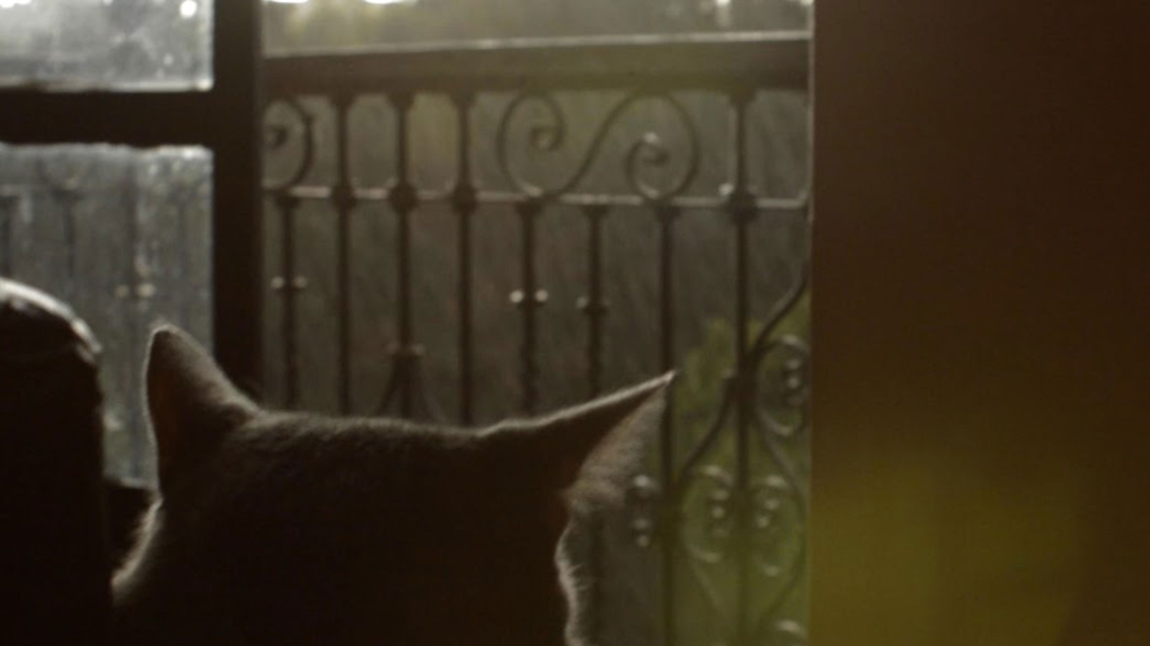 Cuando Está Lloviendo y Eso Background