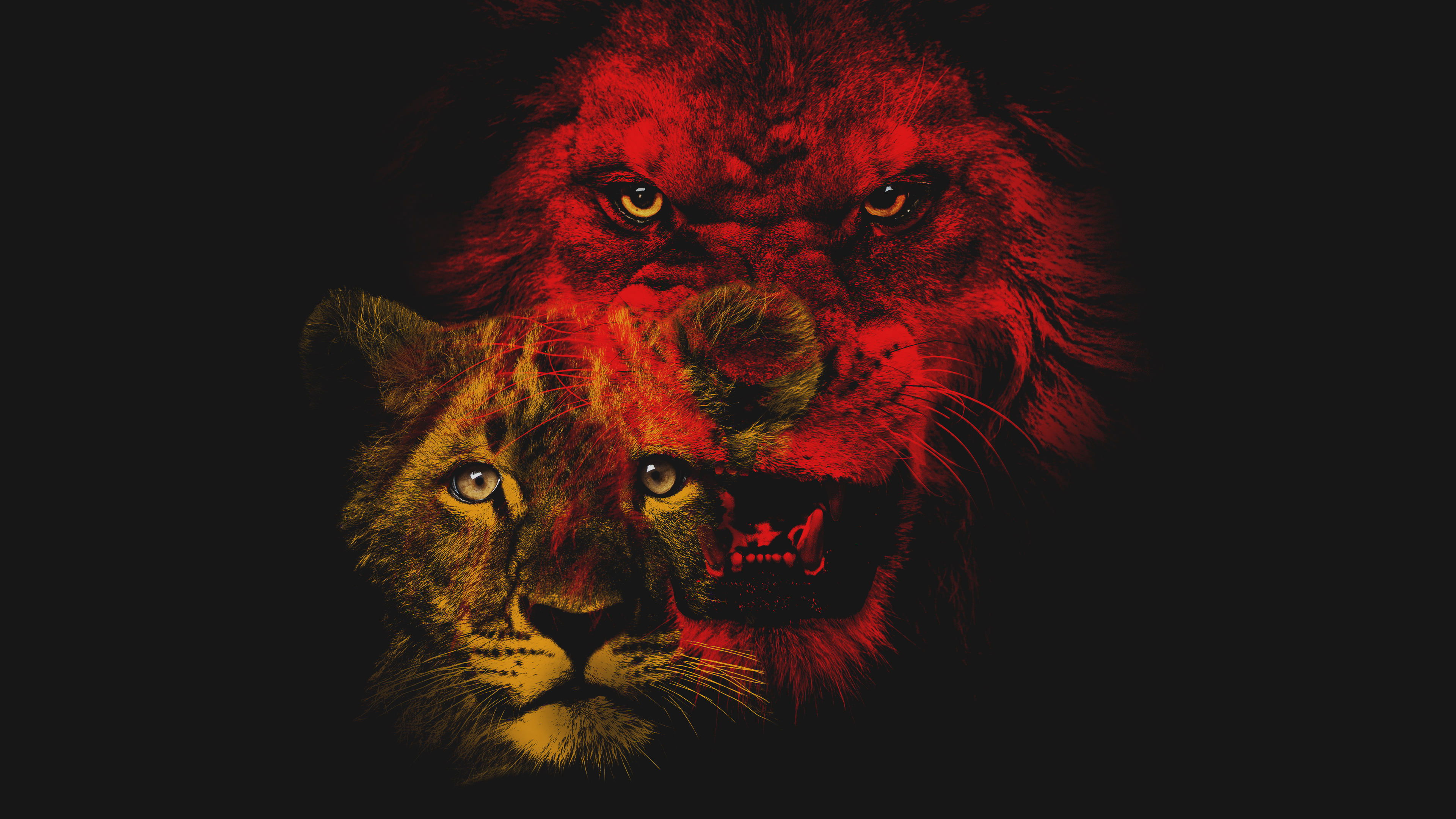 Savage Kingdom Background