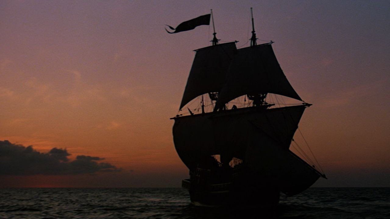 Swashbuckler Background