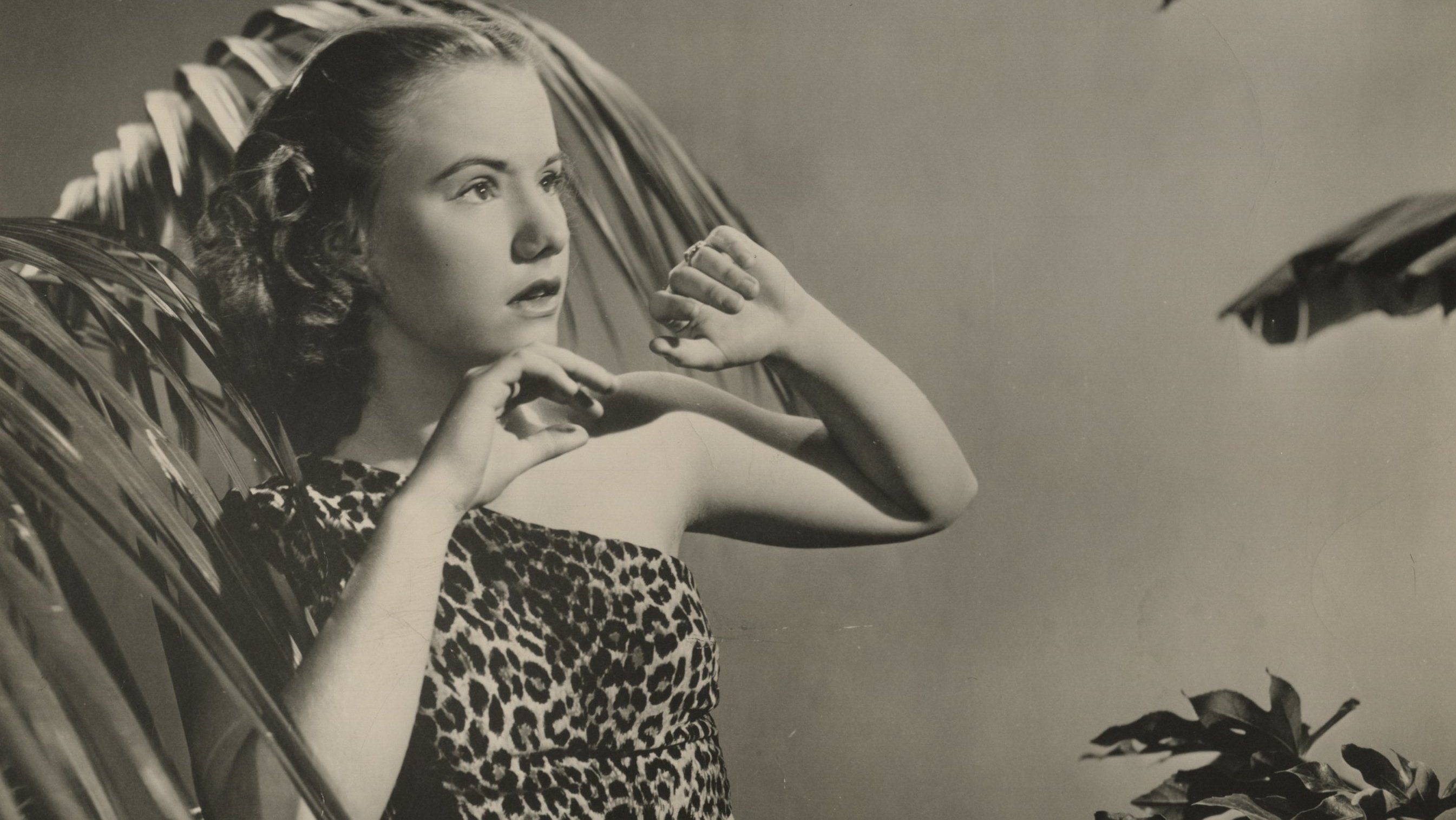 Bomba, the Jungle Boy Background