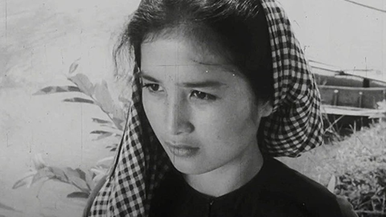 Mrs. Tư Hậu Background