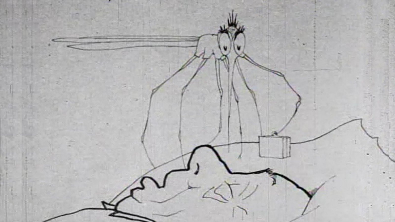 How a Mosquito Operates Background