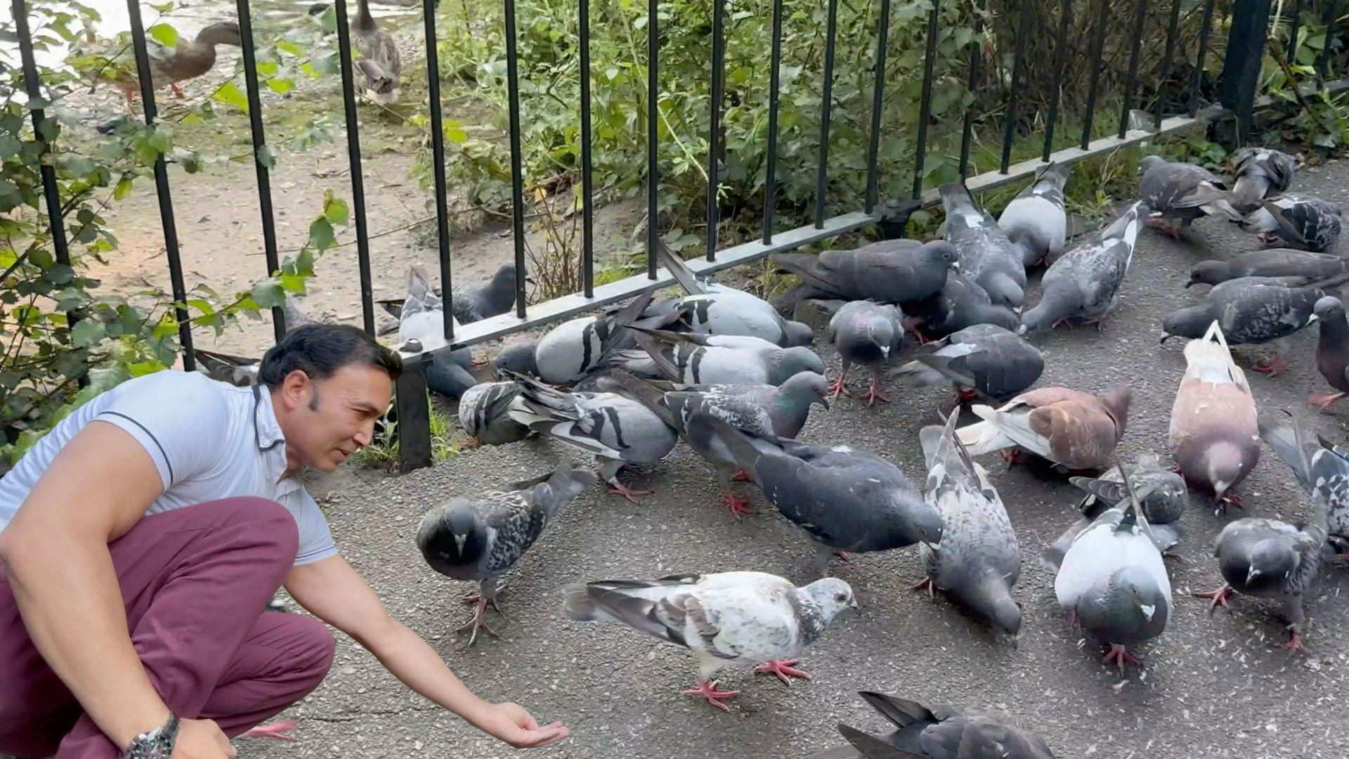 Manor Park Aldershot Background