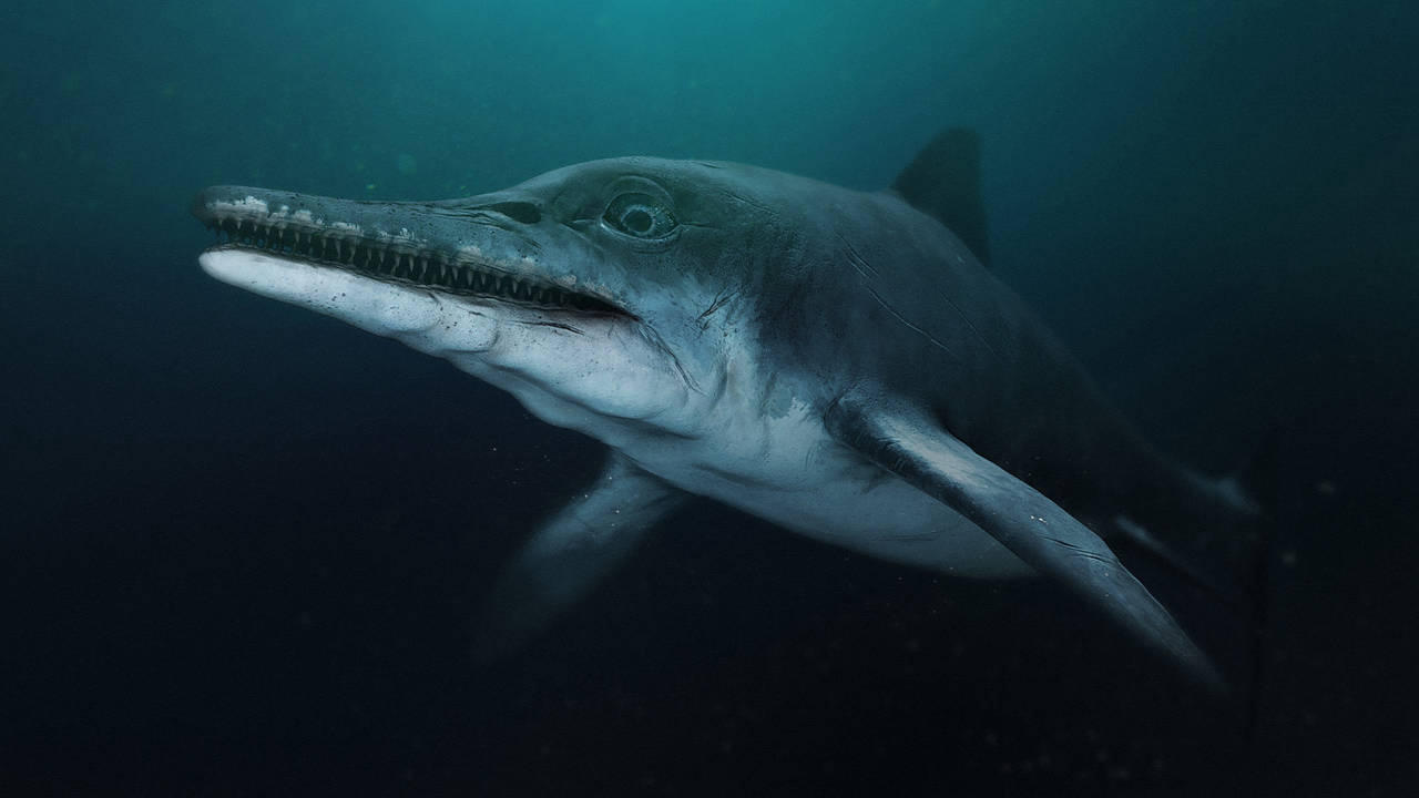 Attenborough and the Sea Dragon Background