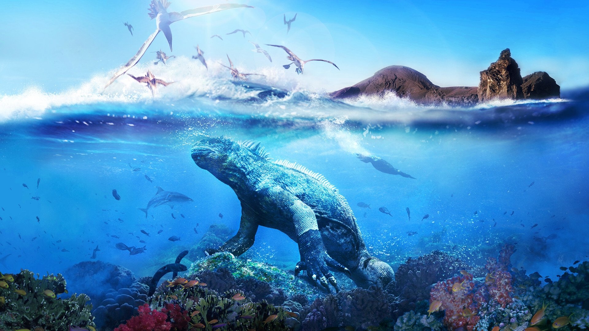 Galapagos Background