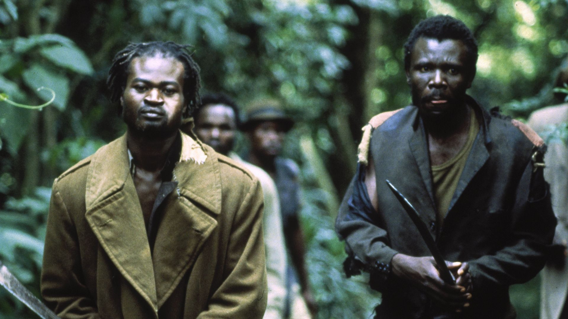 The Kitchen Toto Background