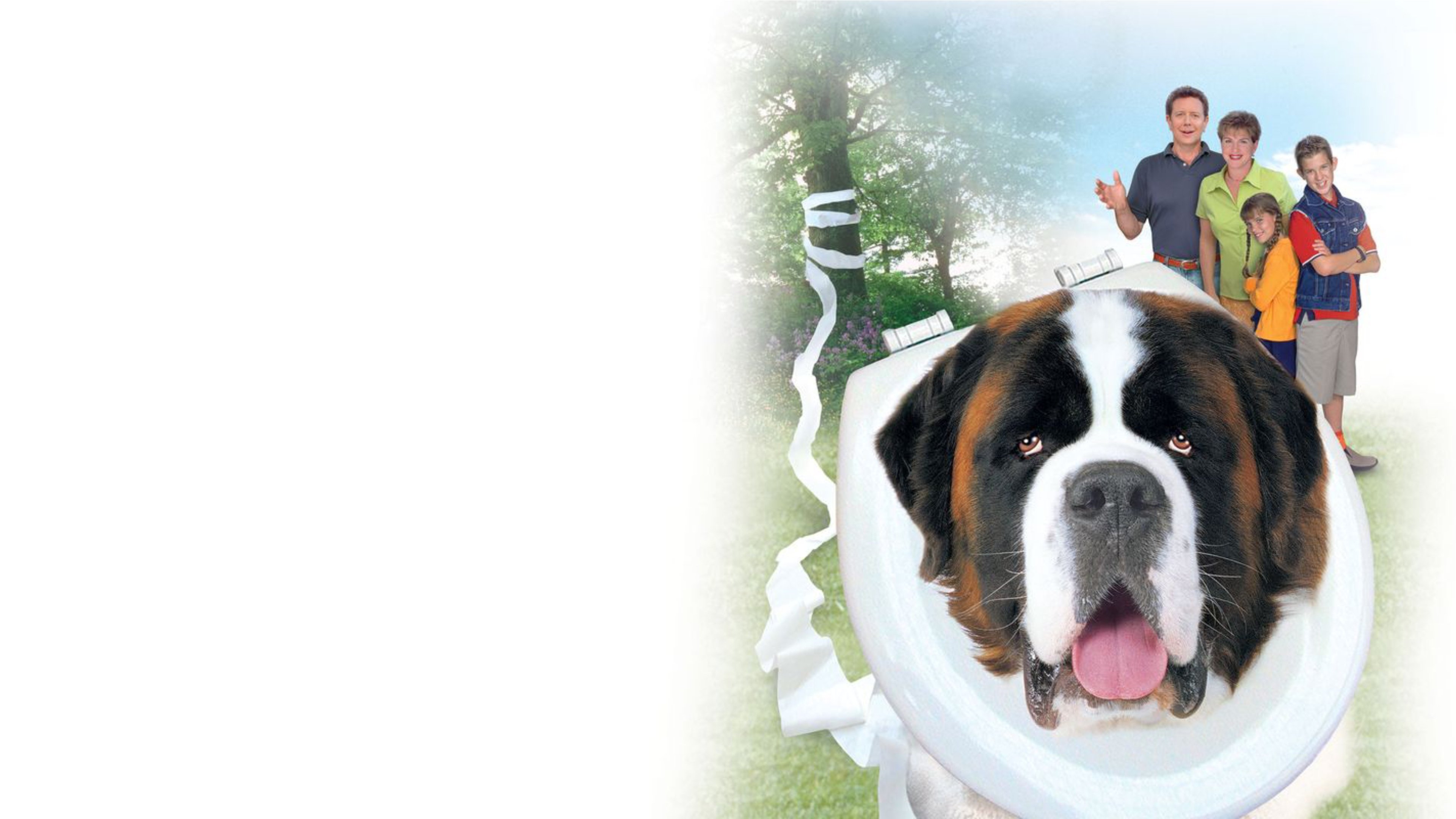 Beethoven's 4th Background