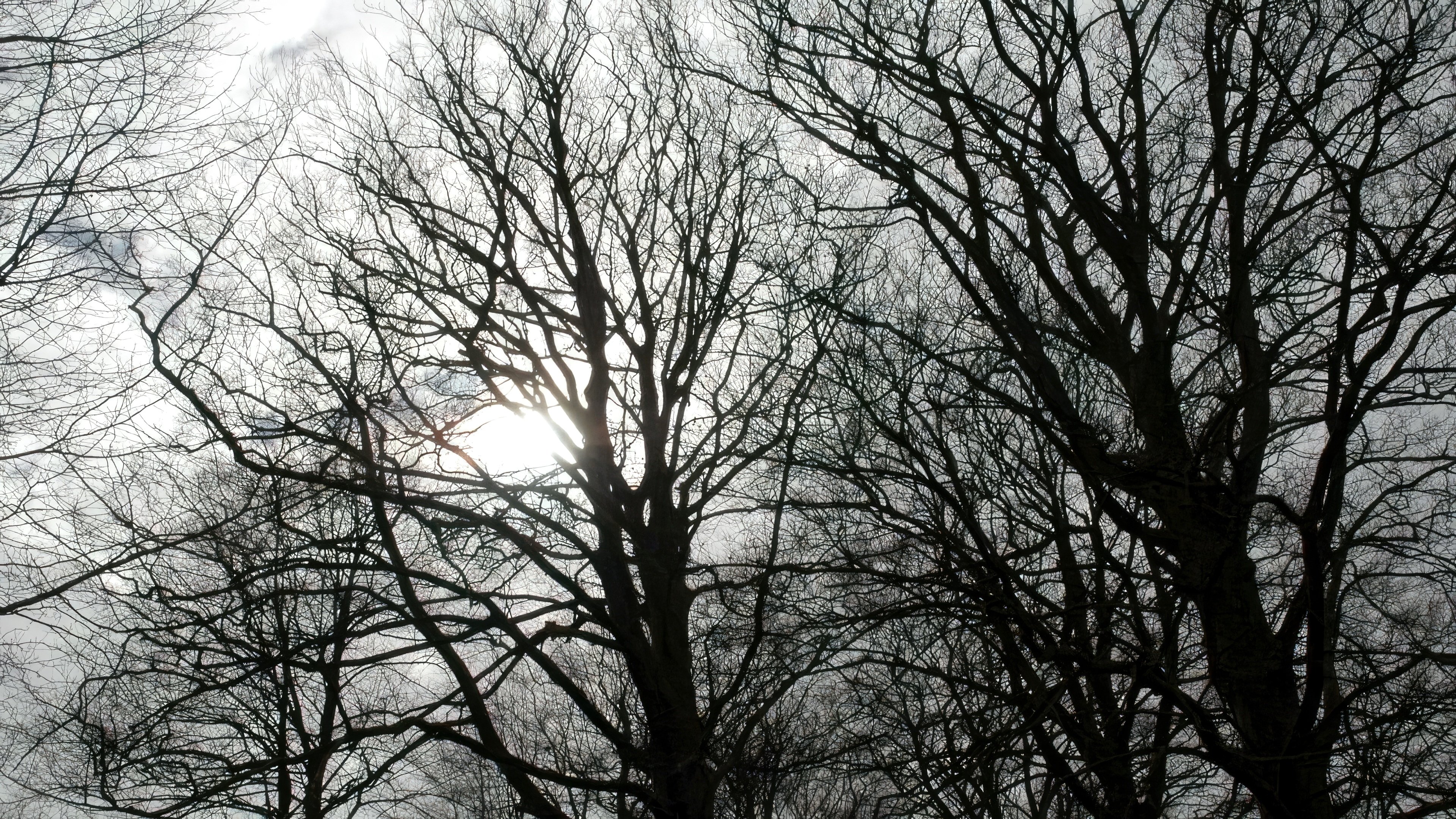 Tales from the Darkside Background