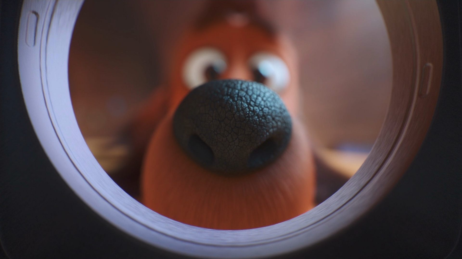 The Dog Days of Winter Background