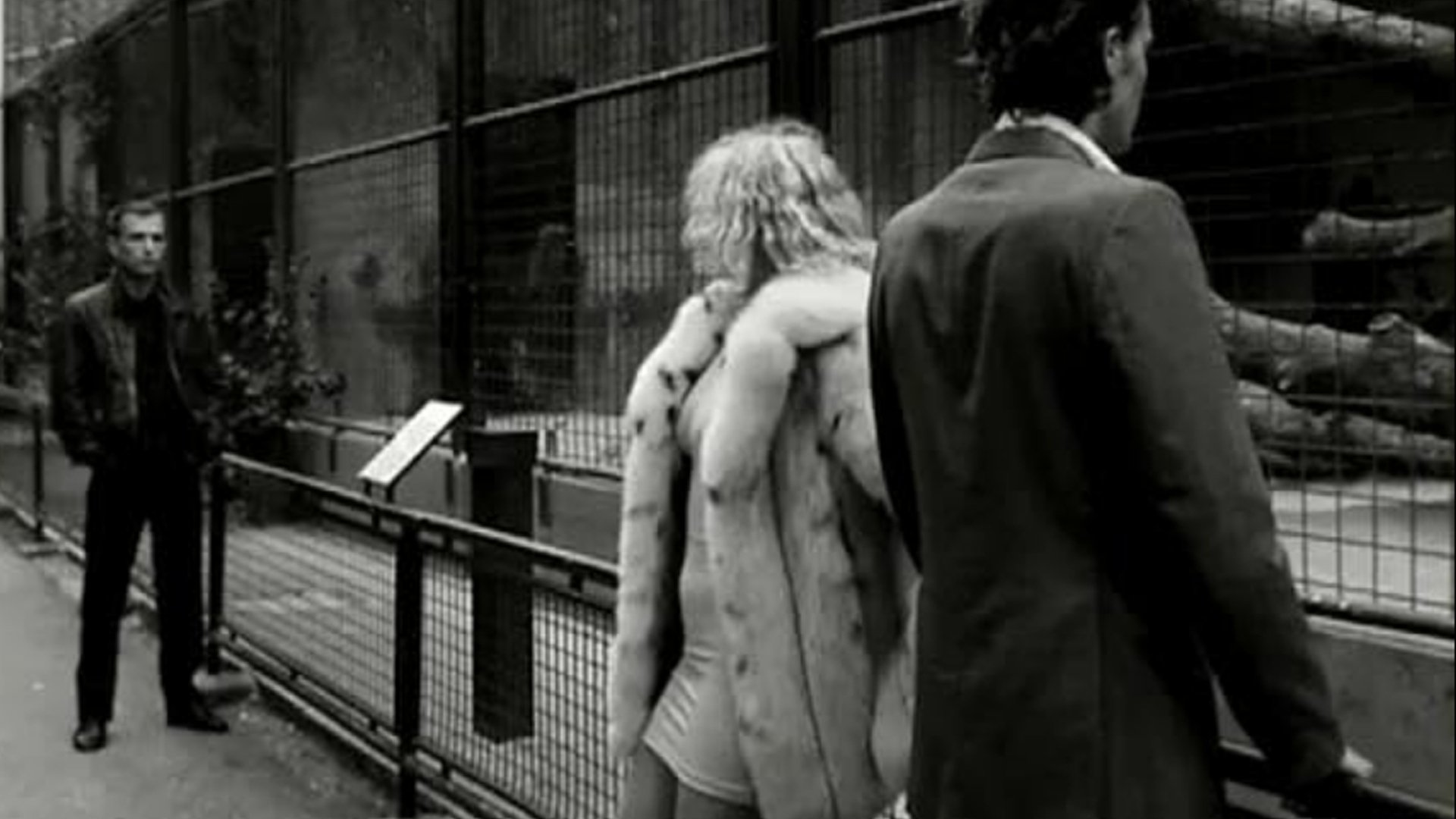 Venus in Furs Background