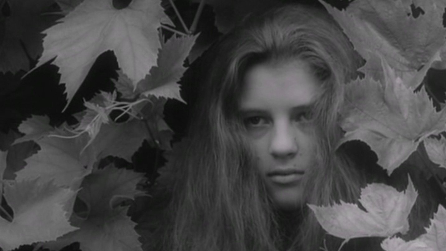 Alice in Wonderland Background