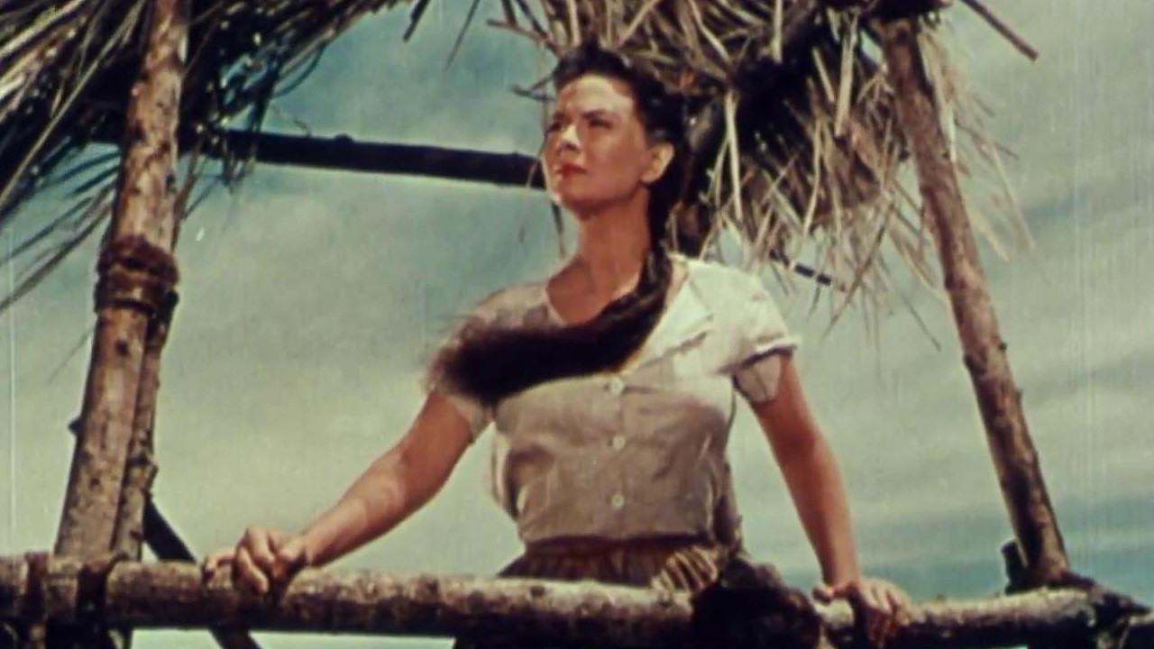 El último perro Background