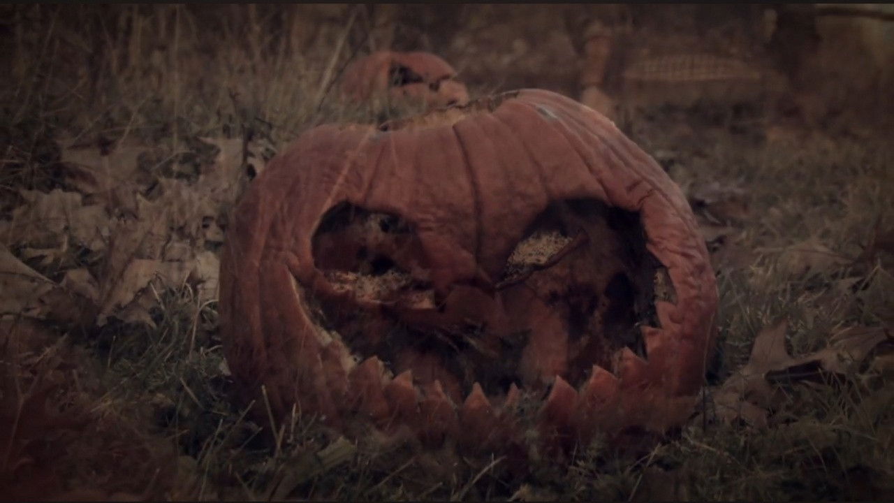 3 Dead Trick or Treaters Background