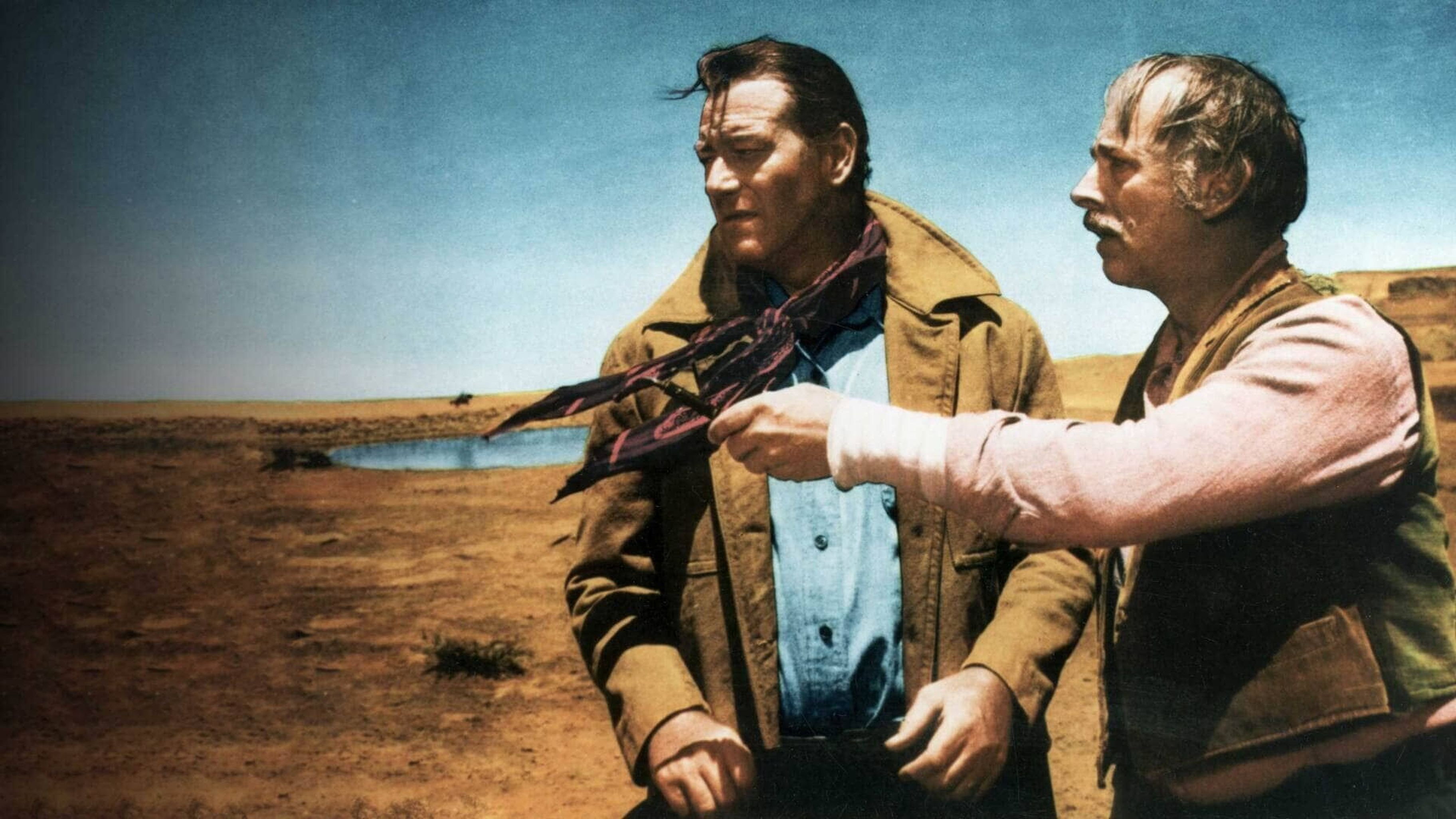 The Searchers Background