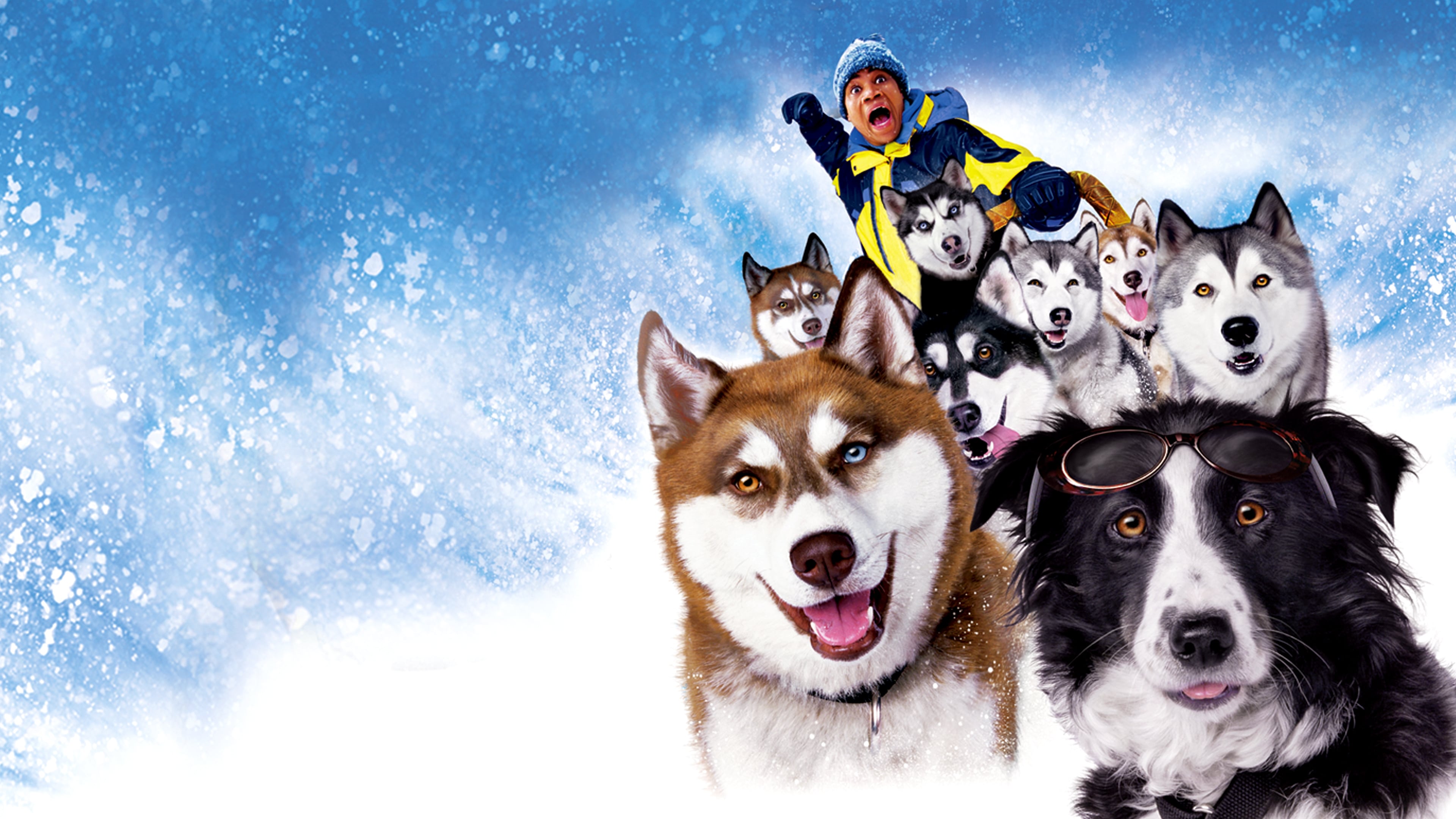 Snow Dogs Background