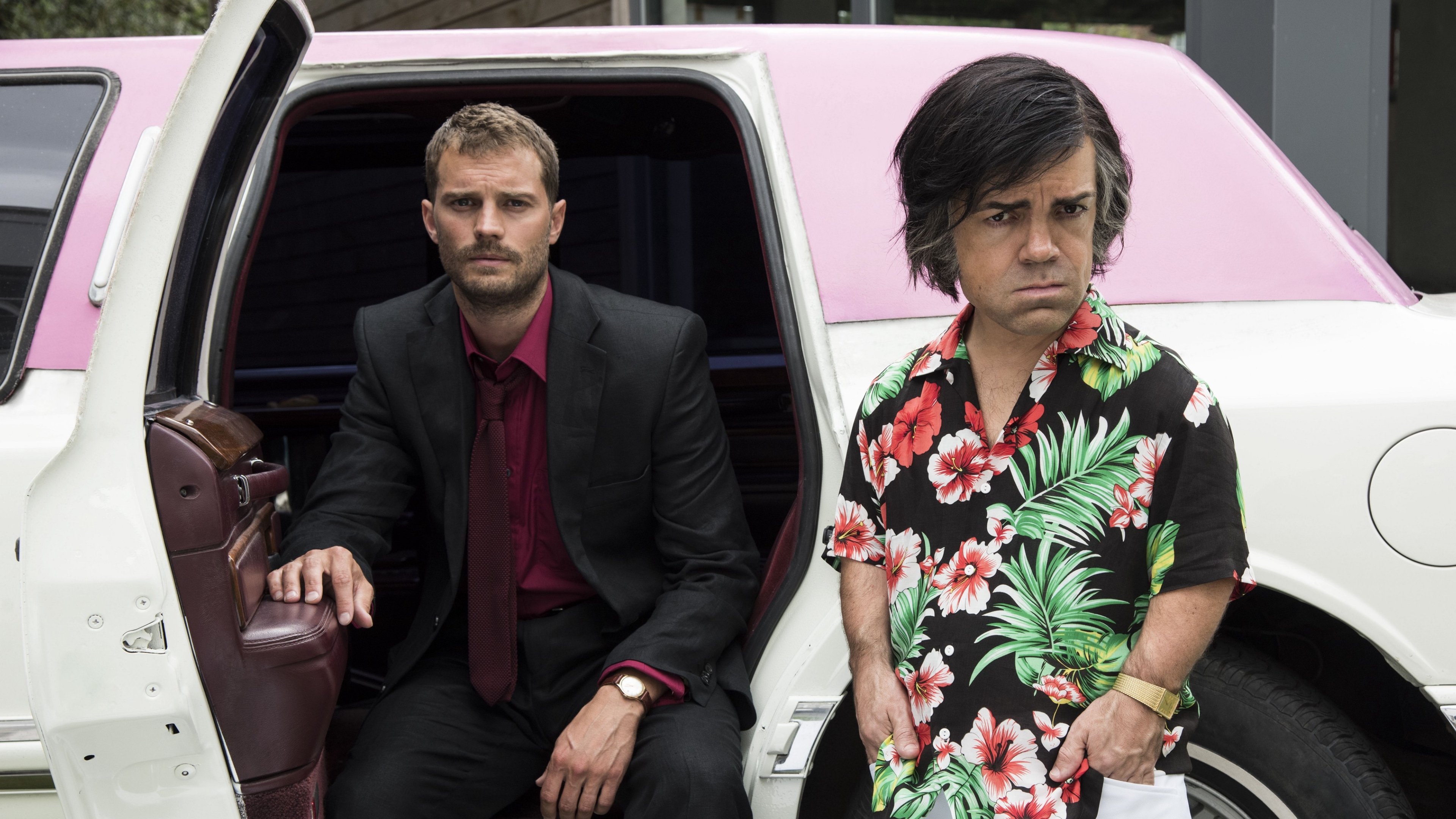 My Dinner with Hervé Background