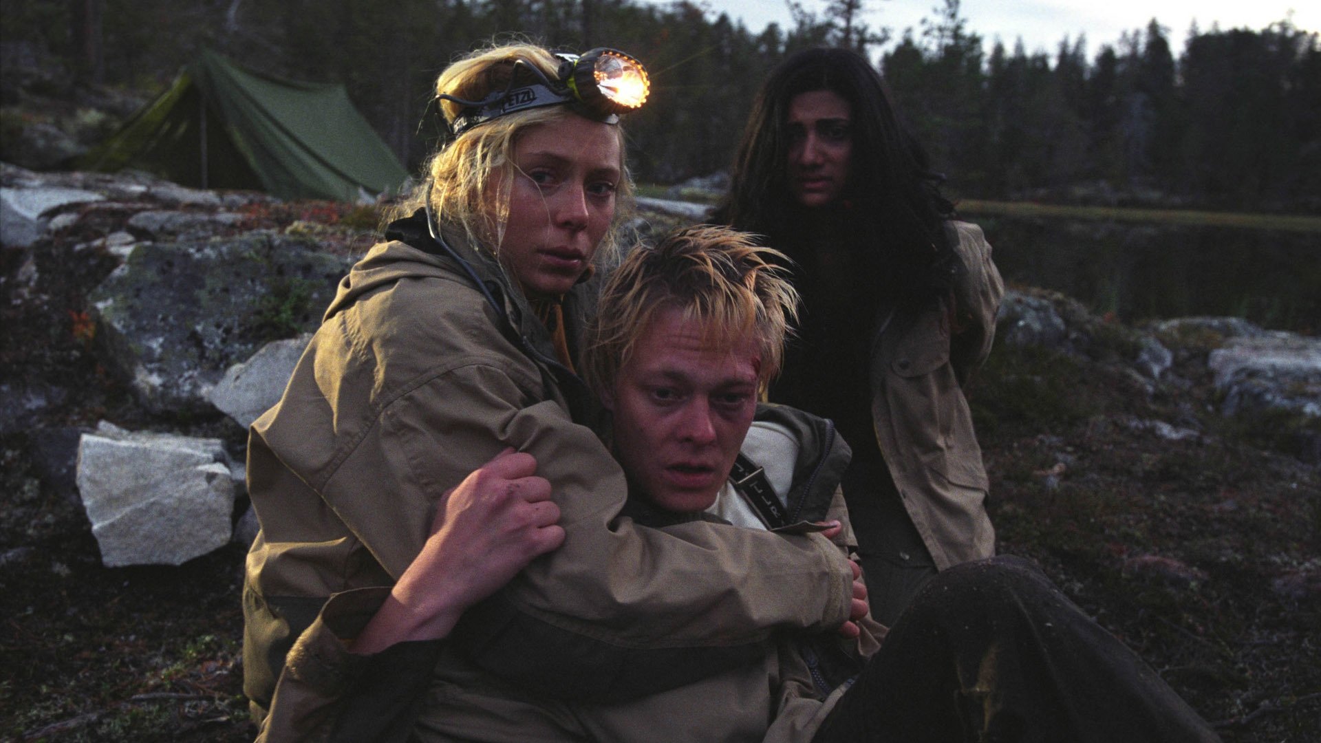 Dark Woods Background