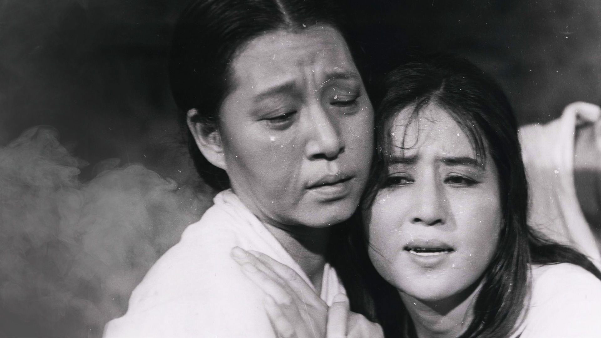 The Evergreen Background