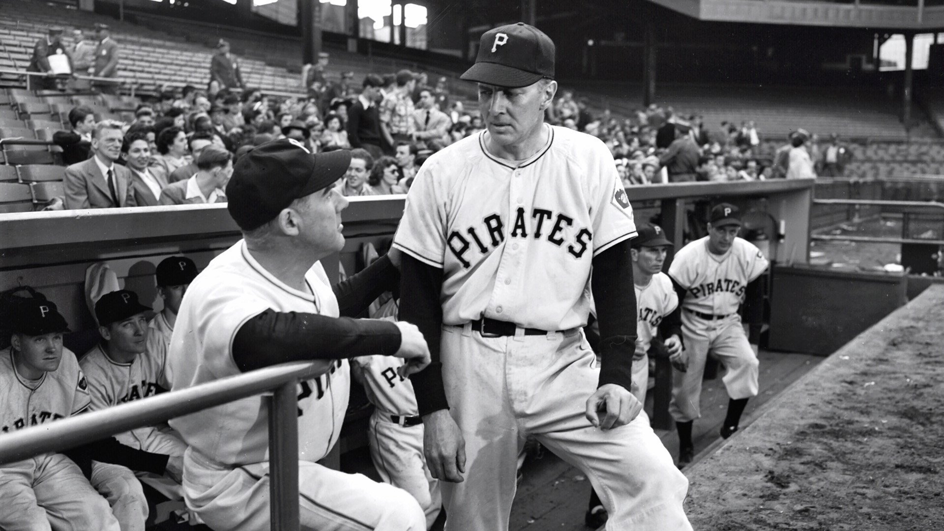 Angels in the Outfield Background