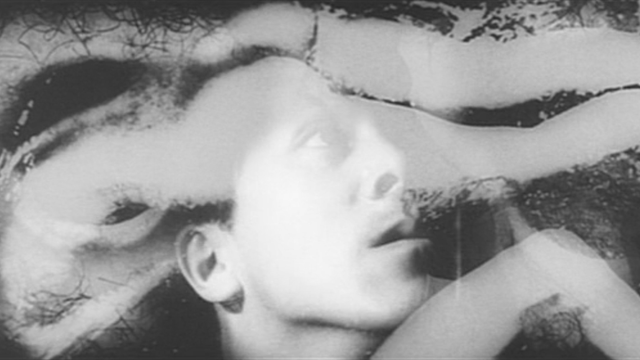 The Embryo Hunts in Secret Background