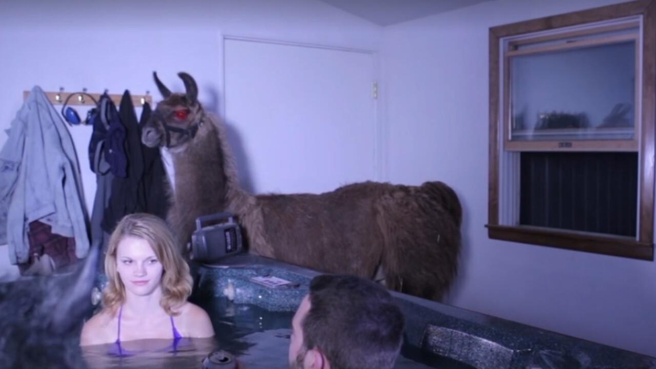 Llamageddon Background