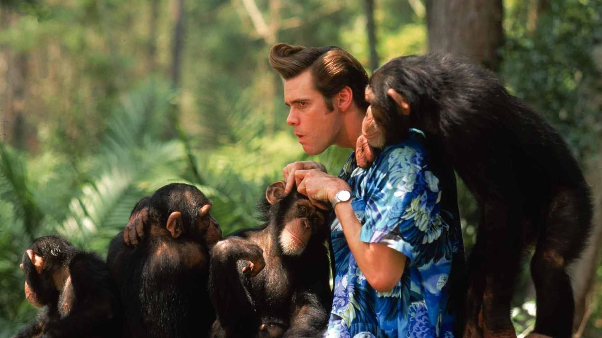 Ace Ventura: When Nature Calls Background