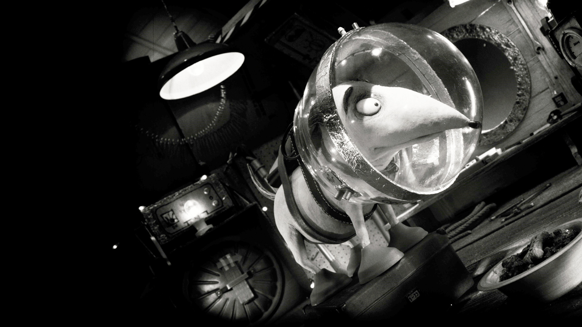 Captain Sparky vs. The Flying Saucers Background