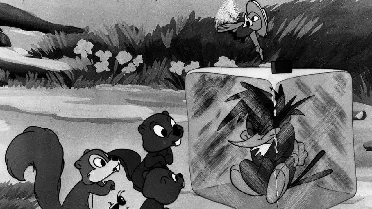 The Redwood Sap Background