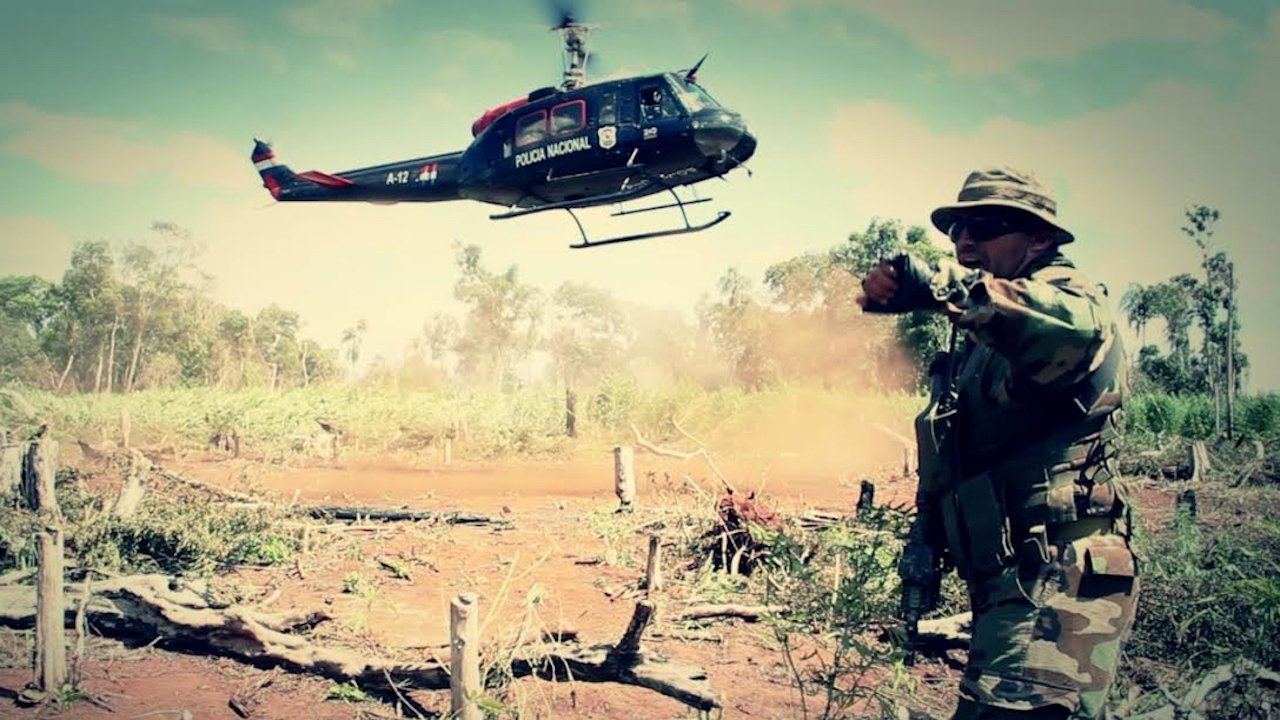 Paraguay, Droga y Banana Background