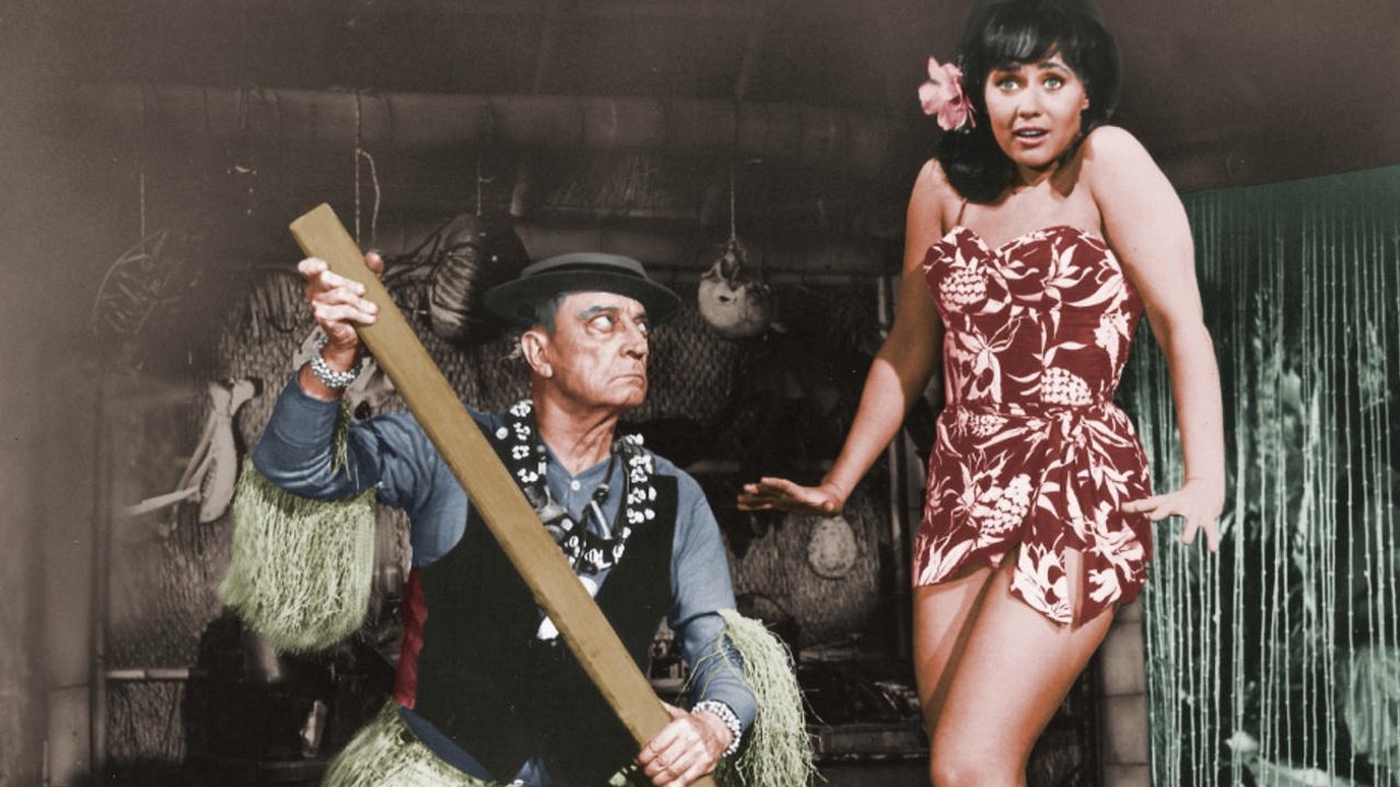 How to Stuff a Wild Bikini Background