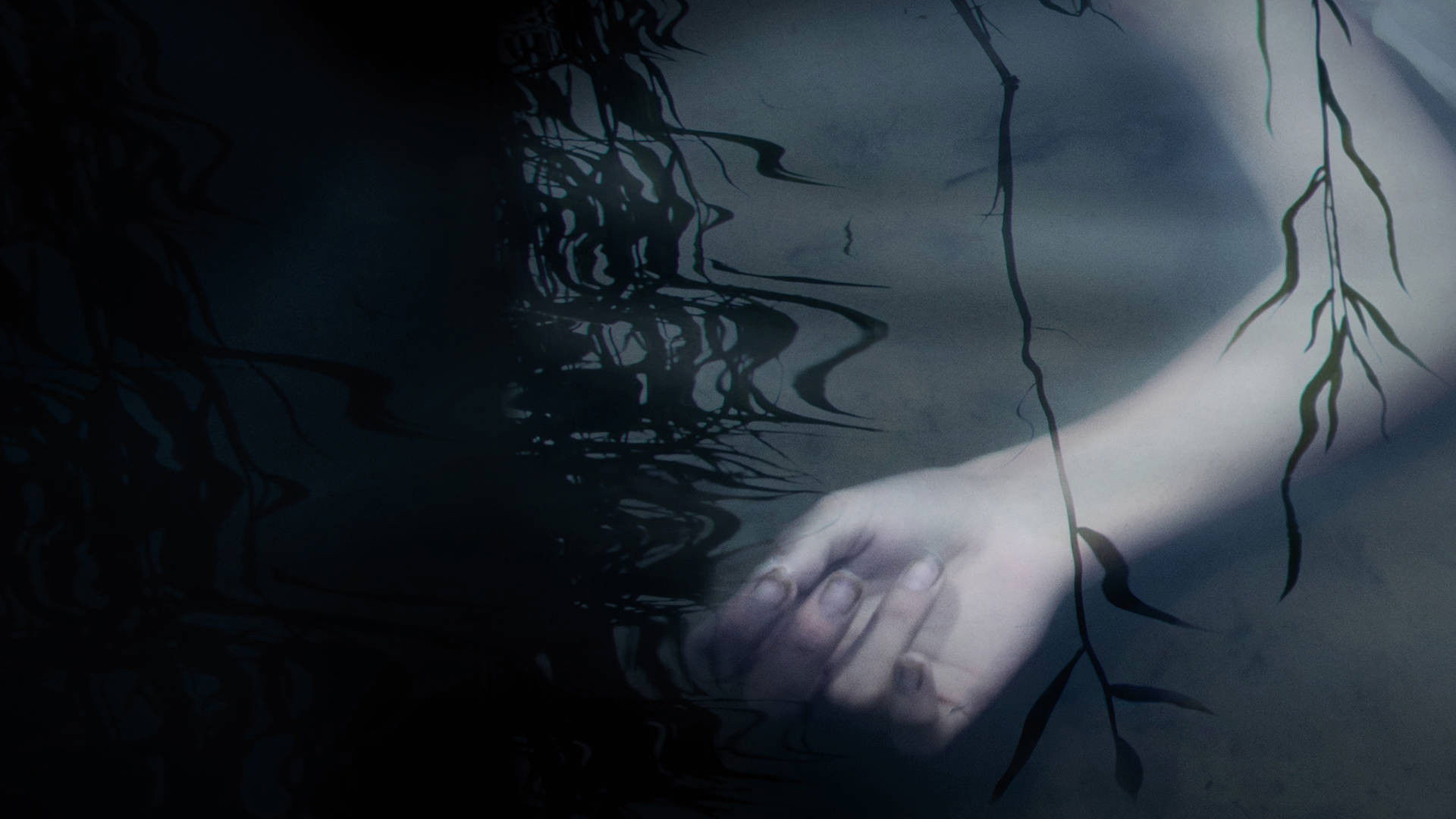 Murder in the Bayou Background