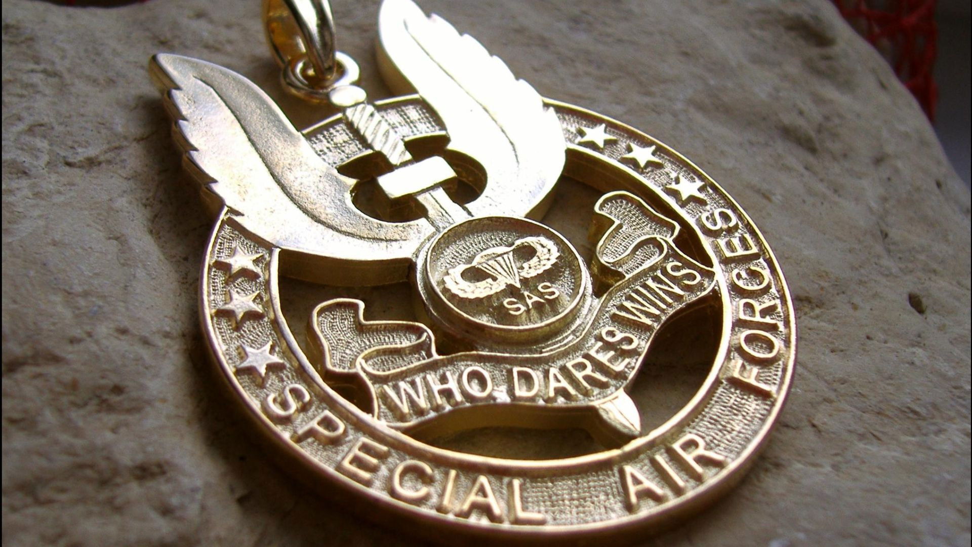 SAS Survival Secrets Background